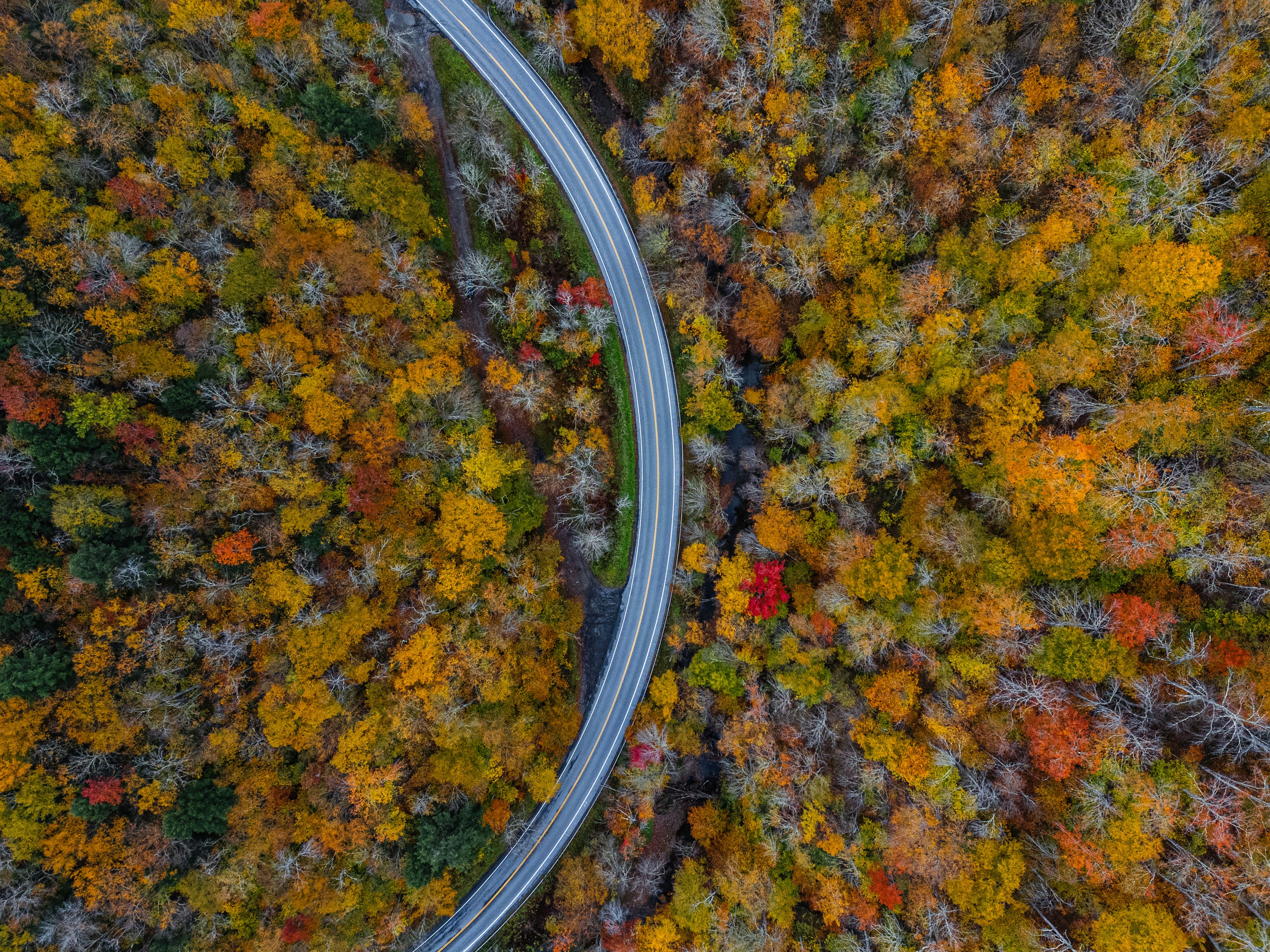 View from above the fall colors