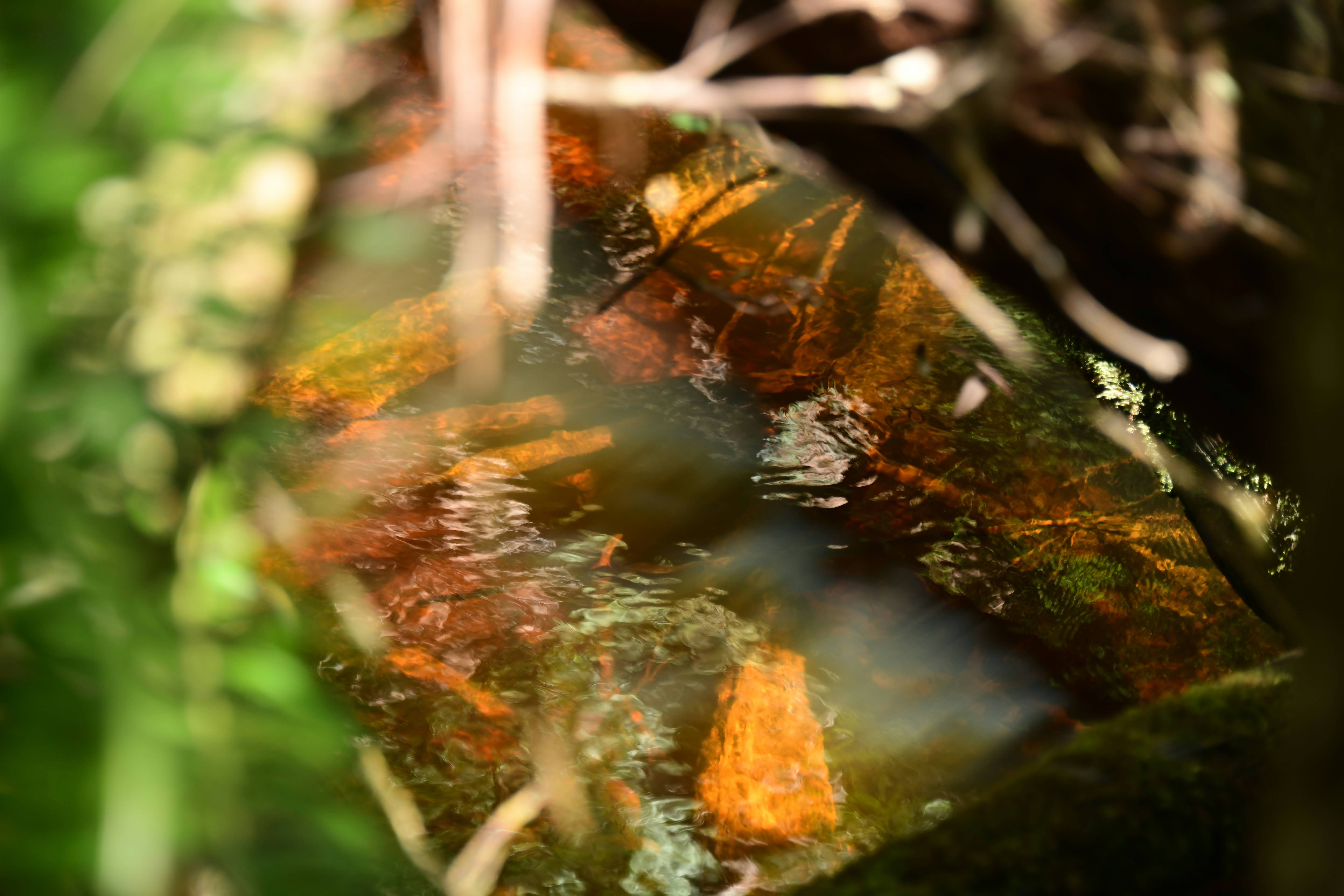 Photo by richard7seals