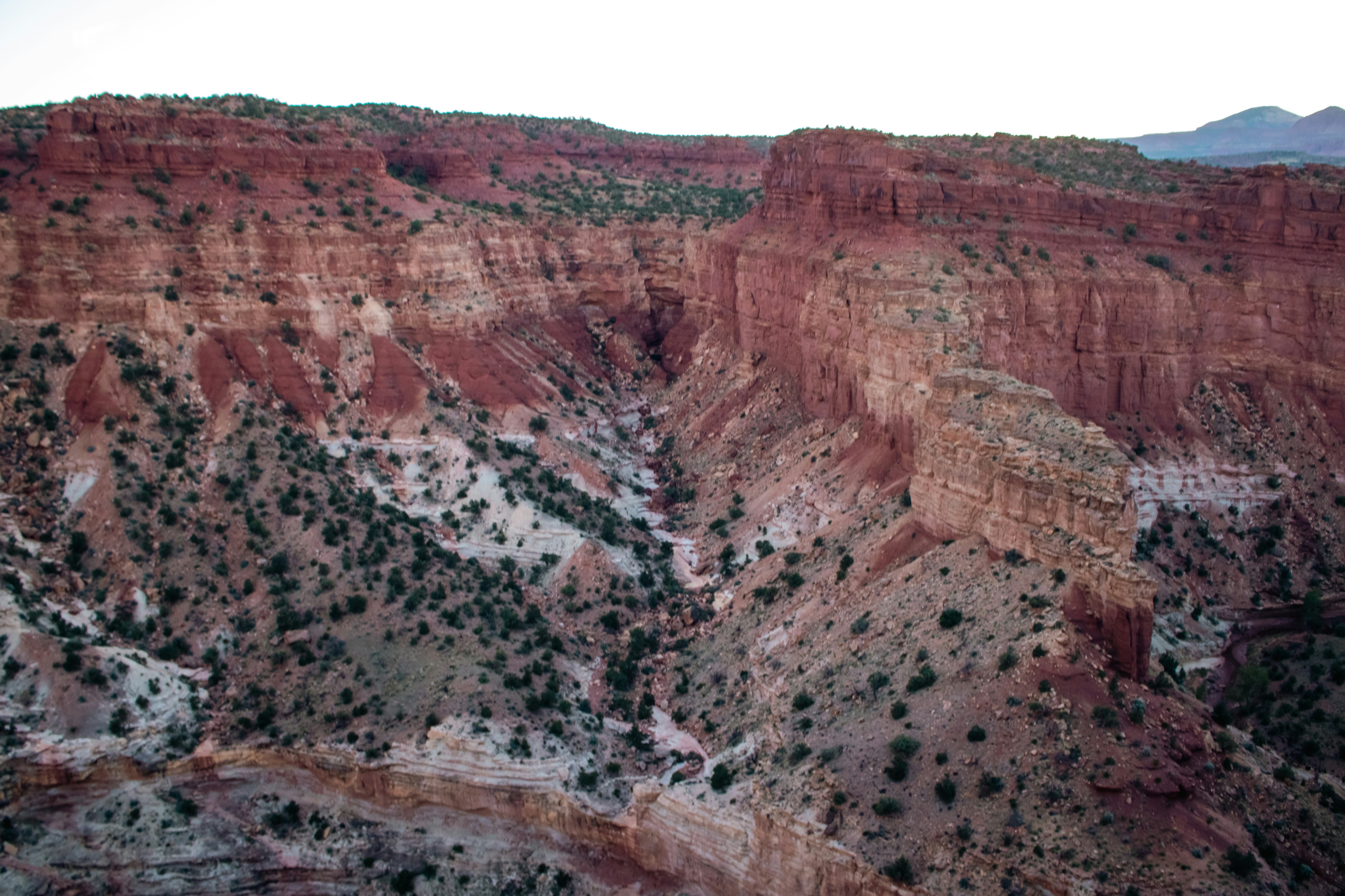 Photo by zoshuacolah