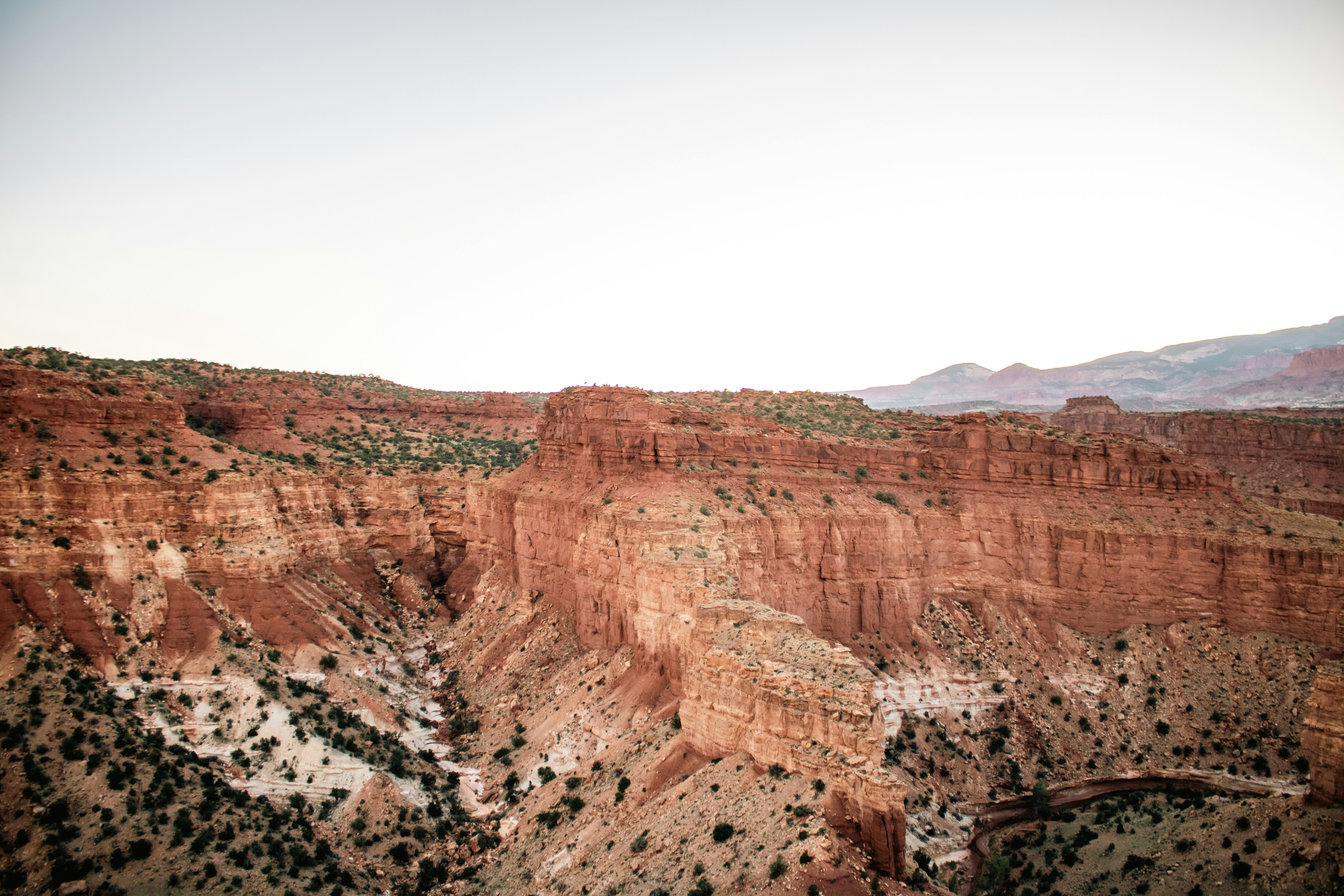 Photo by zoshuacolah