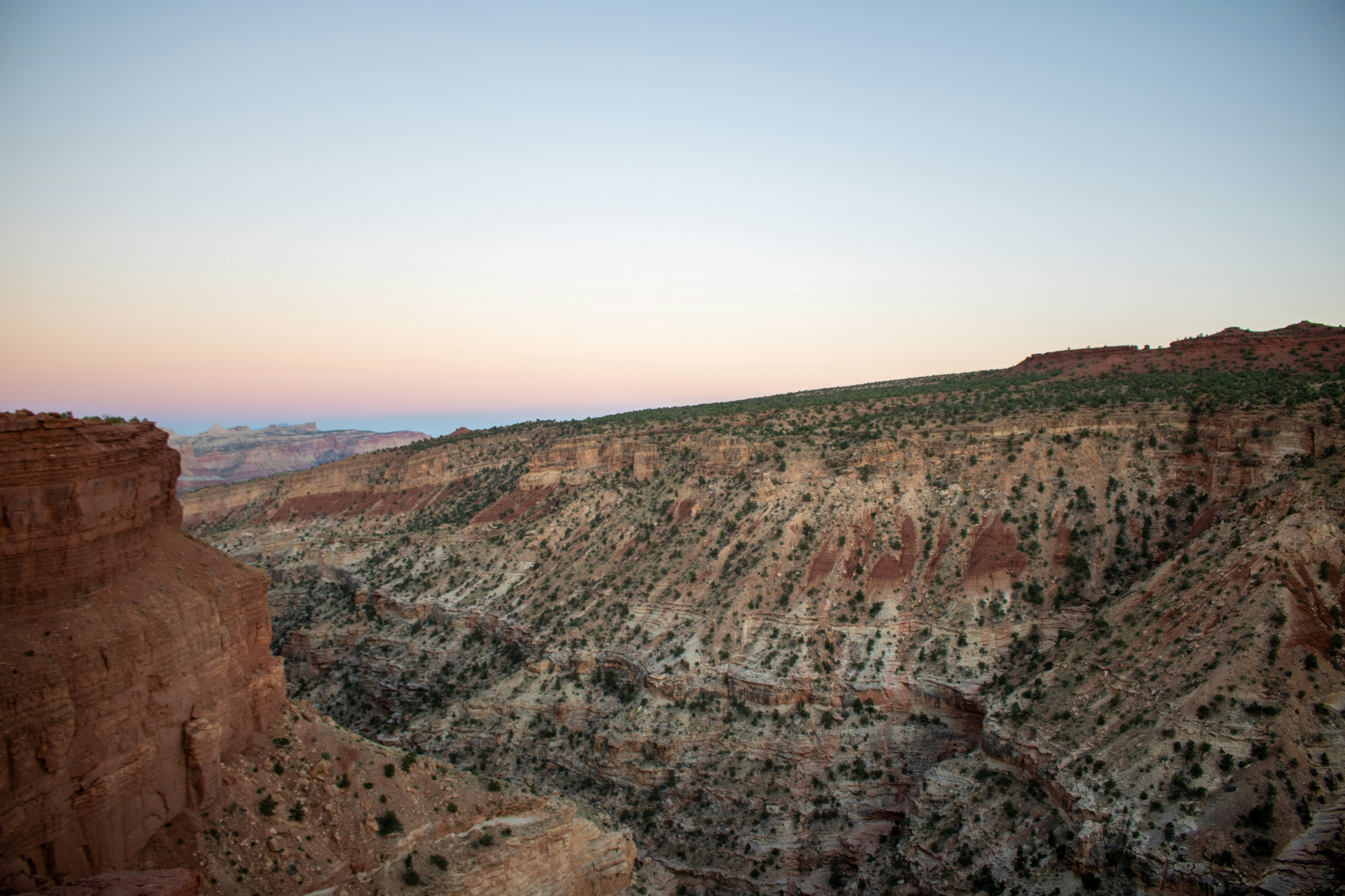 Photo by zoshuacolah