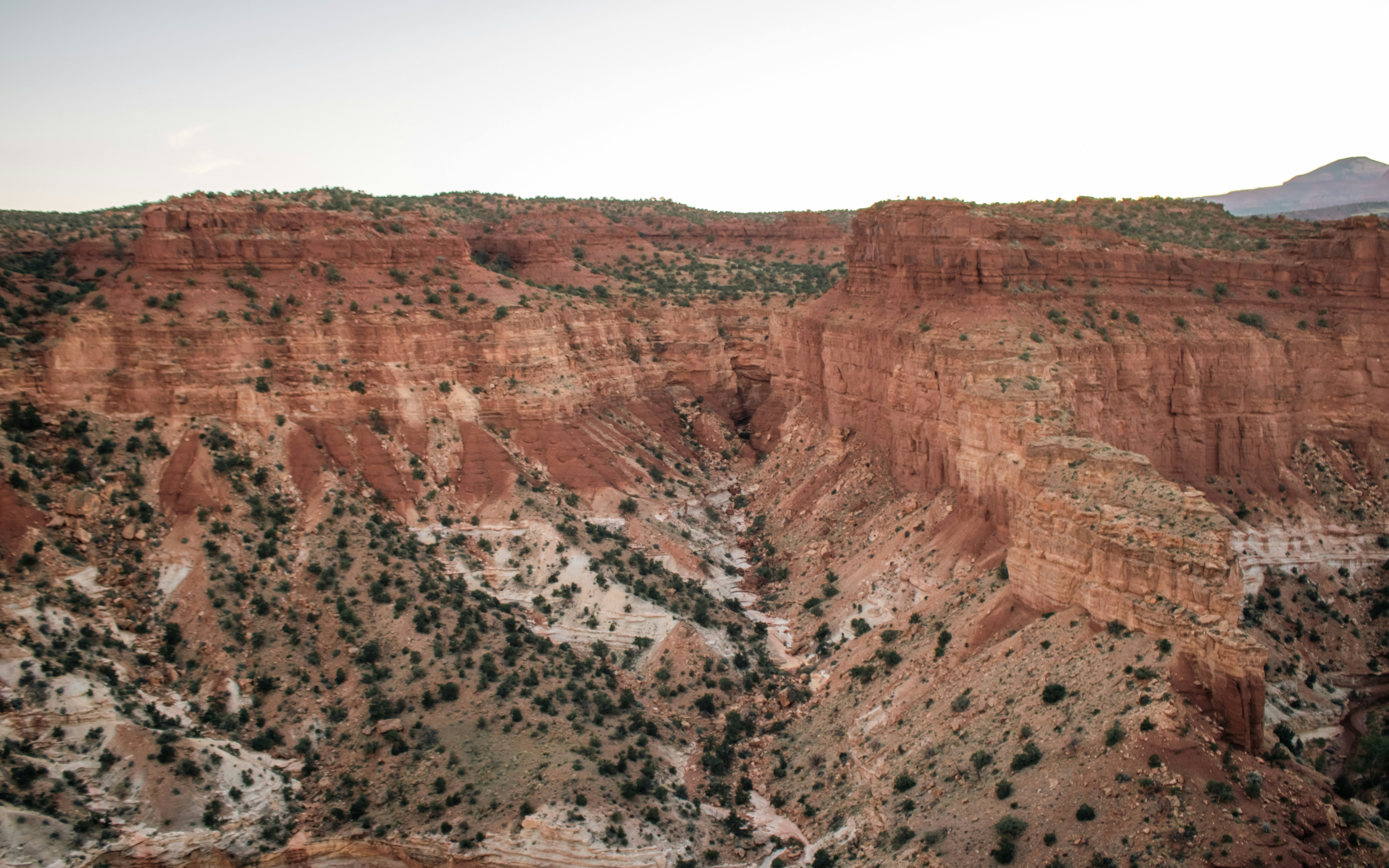 Photo by zoshuacolah