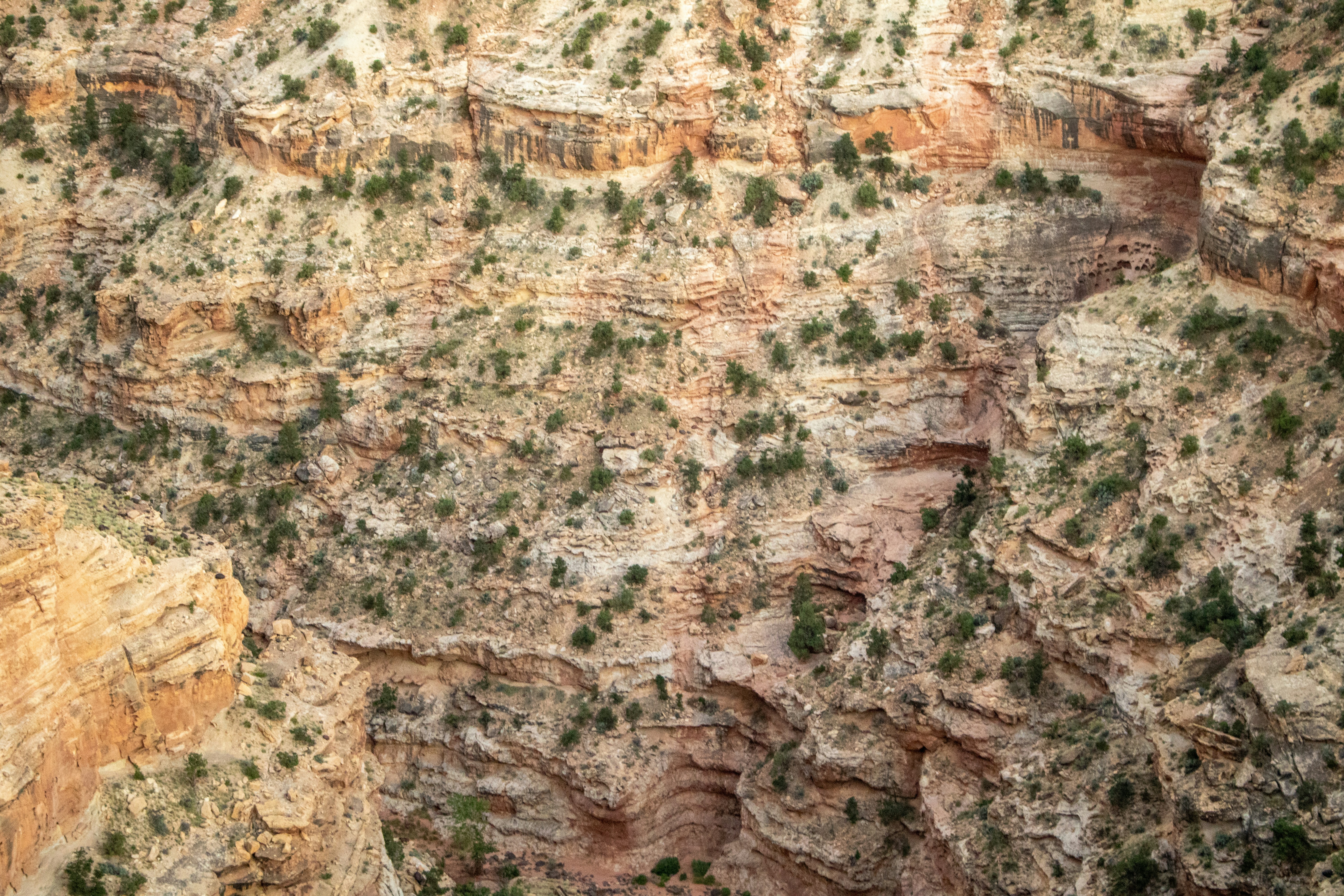 Photo by zoshuacolah