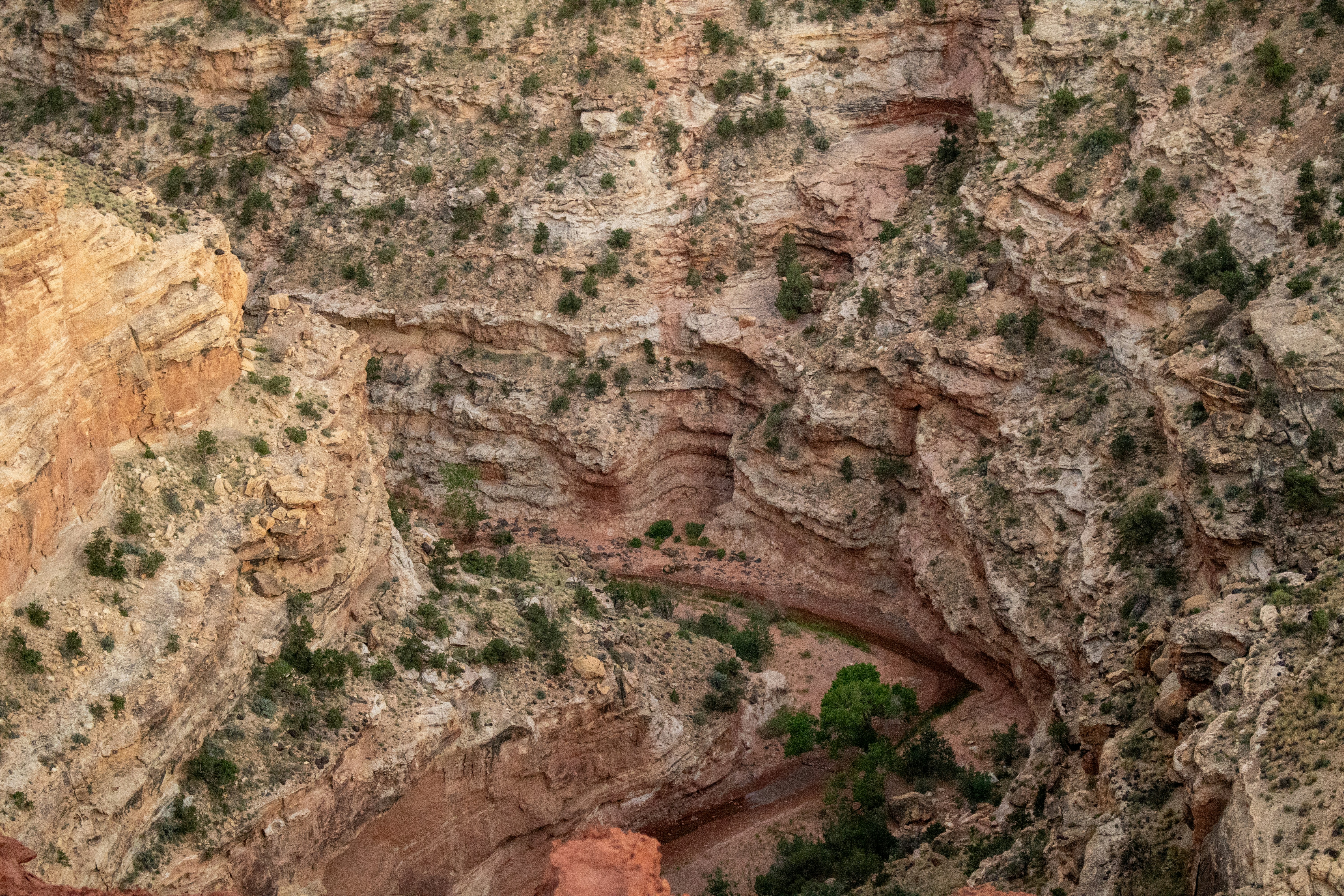 Photo by zoshuacolah