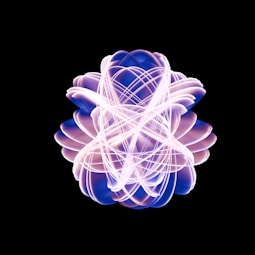 A picture of a purple flower with a black background