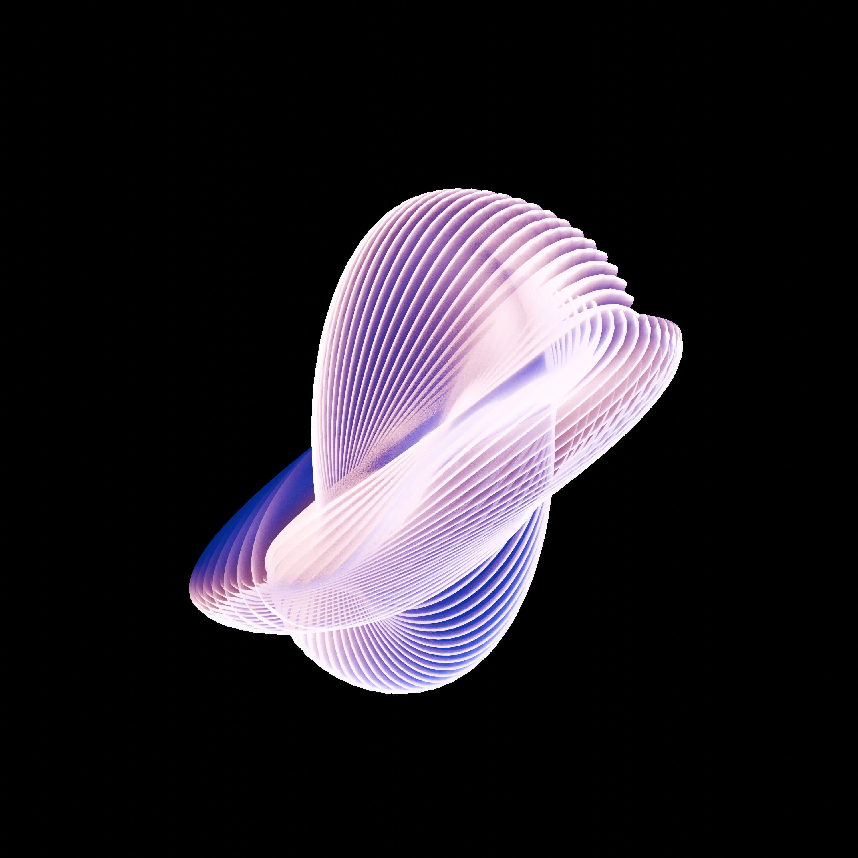 Photo by whisperingshiba