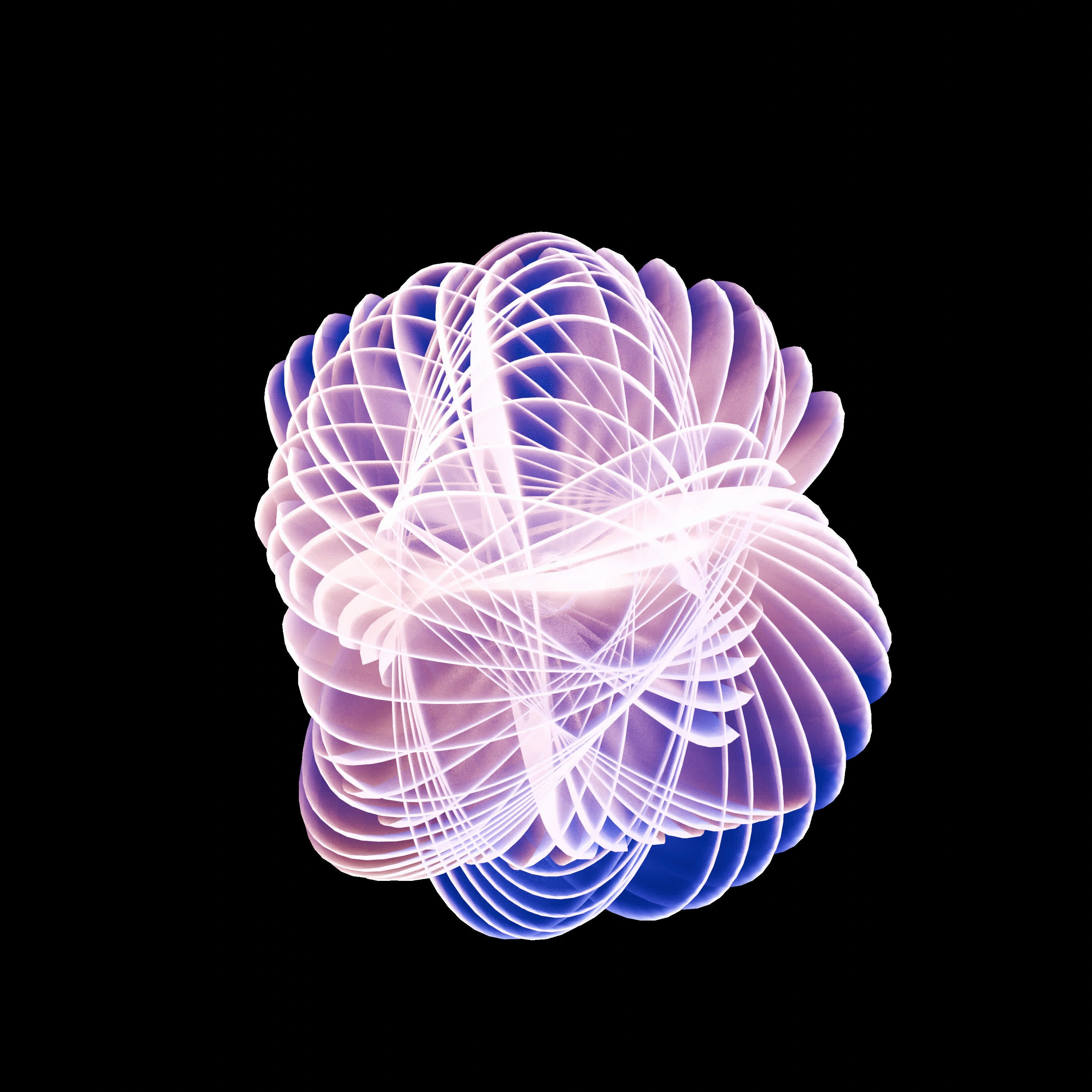 Photo by whisperingshiba