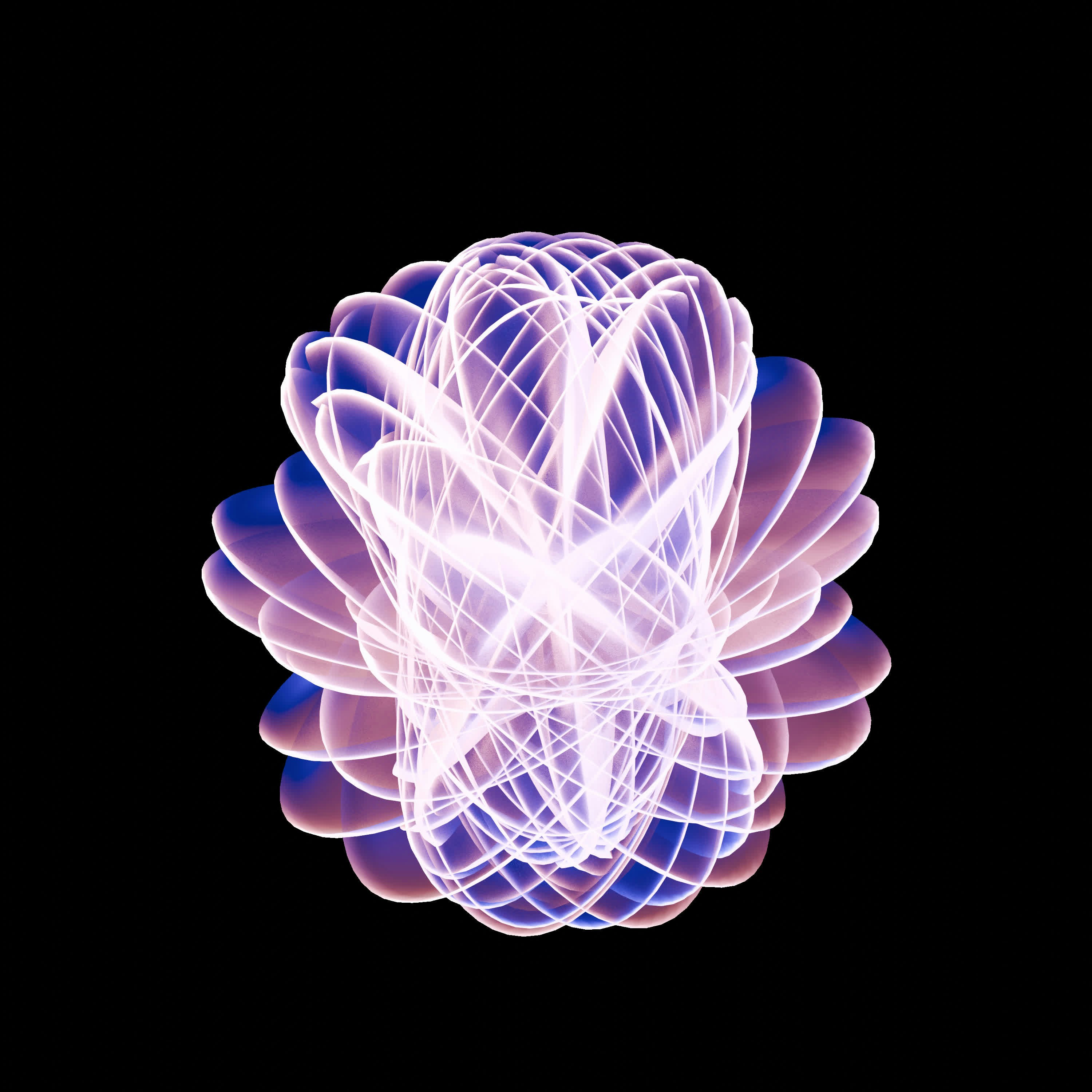 Photo by whisperingshiba