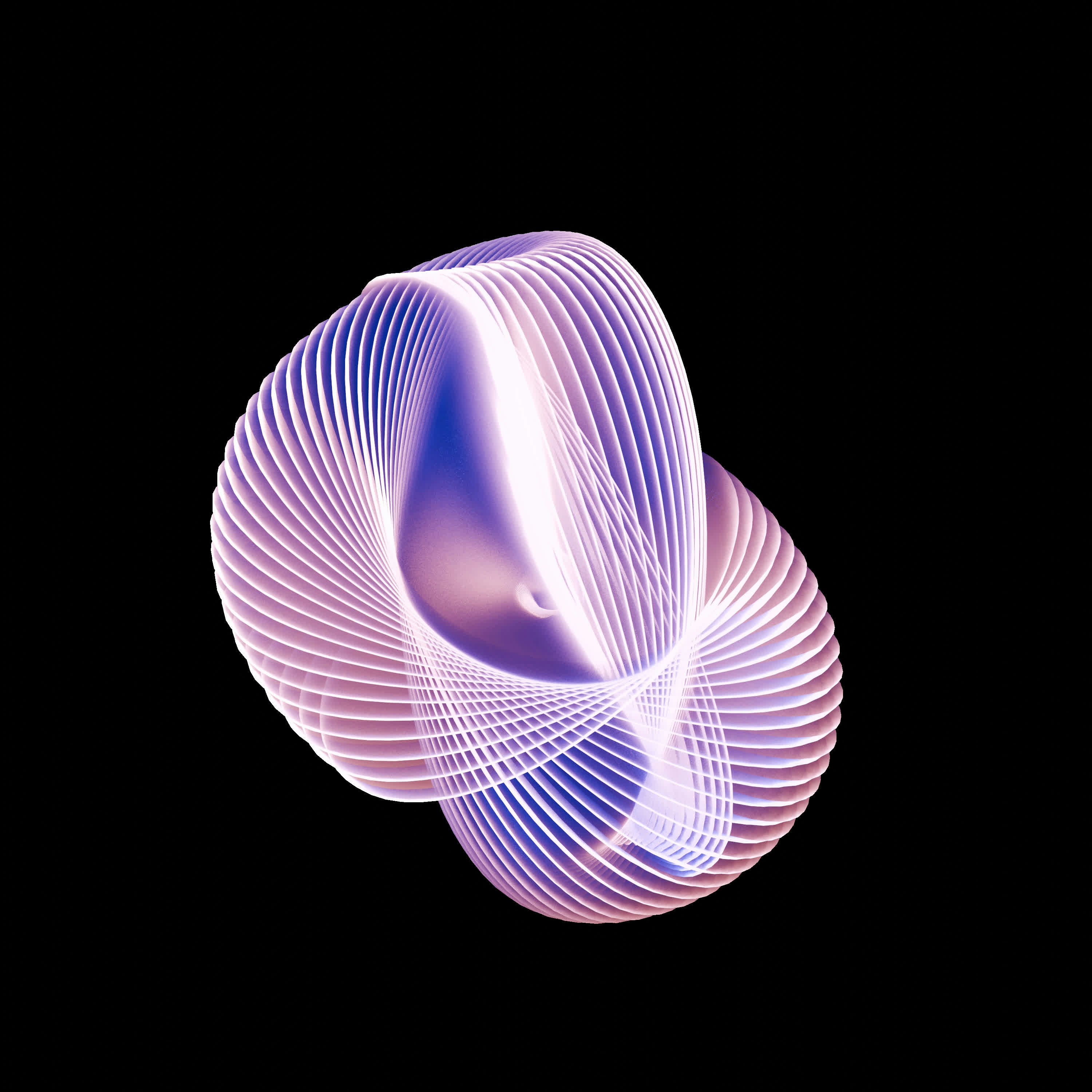 Photo by whisperingshiba