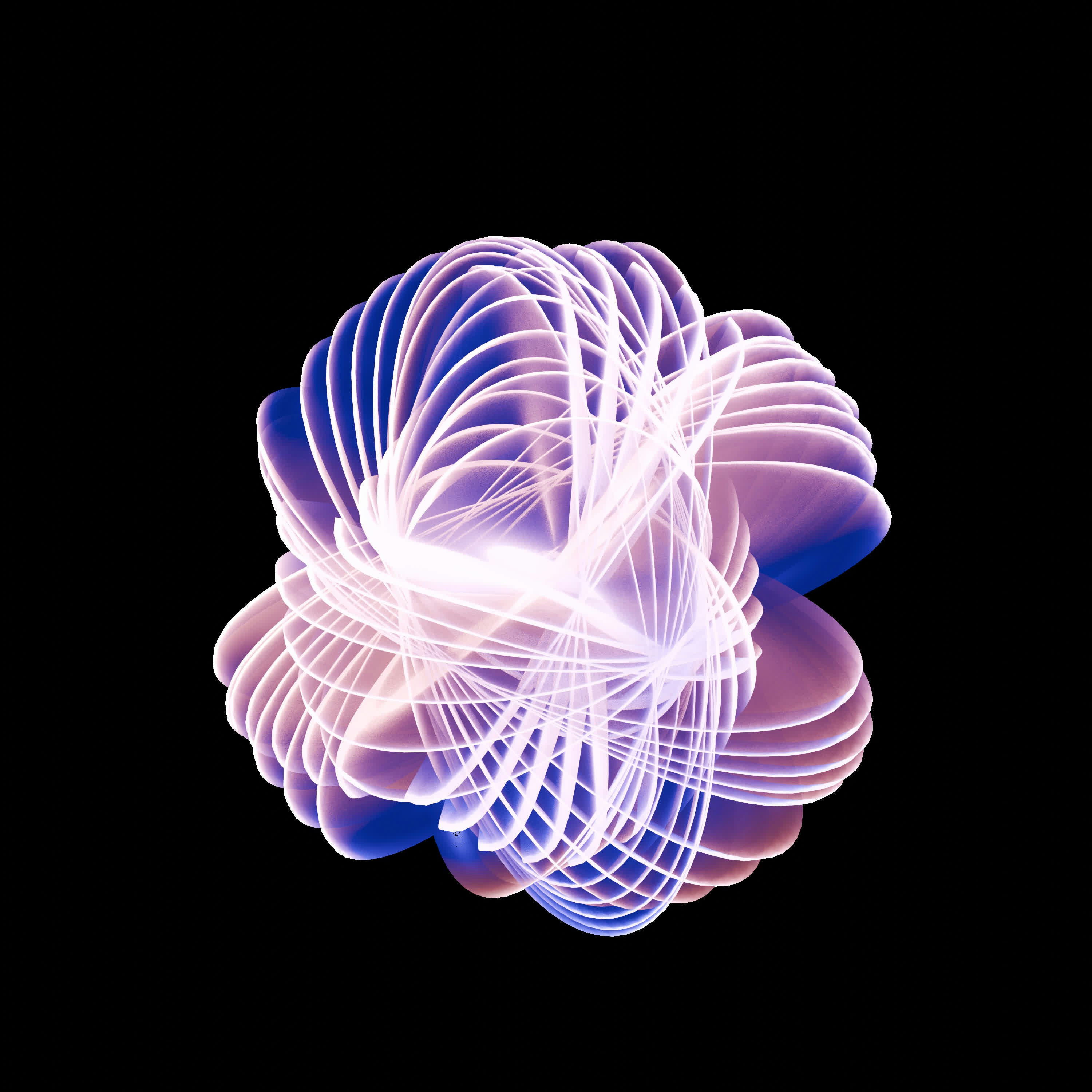 Photo by whisperingshiba