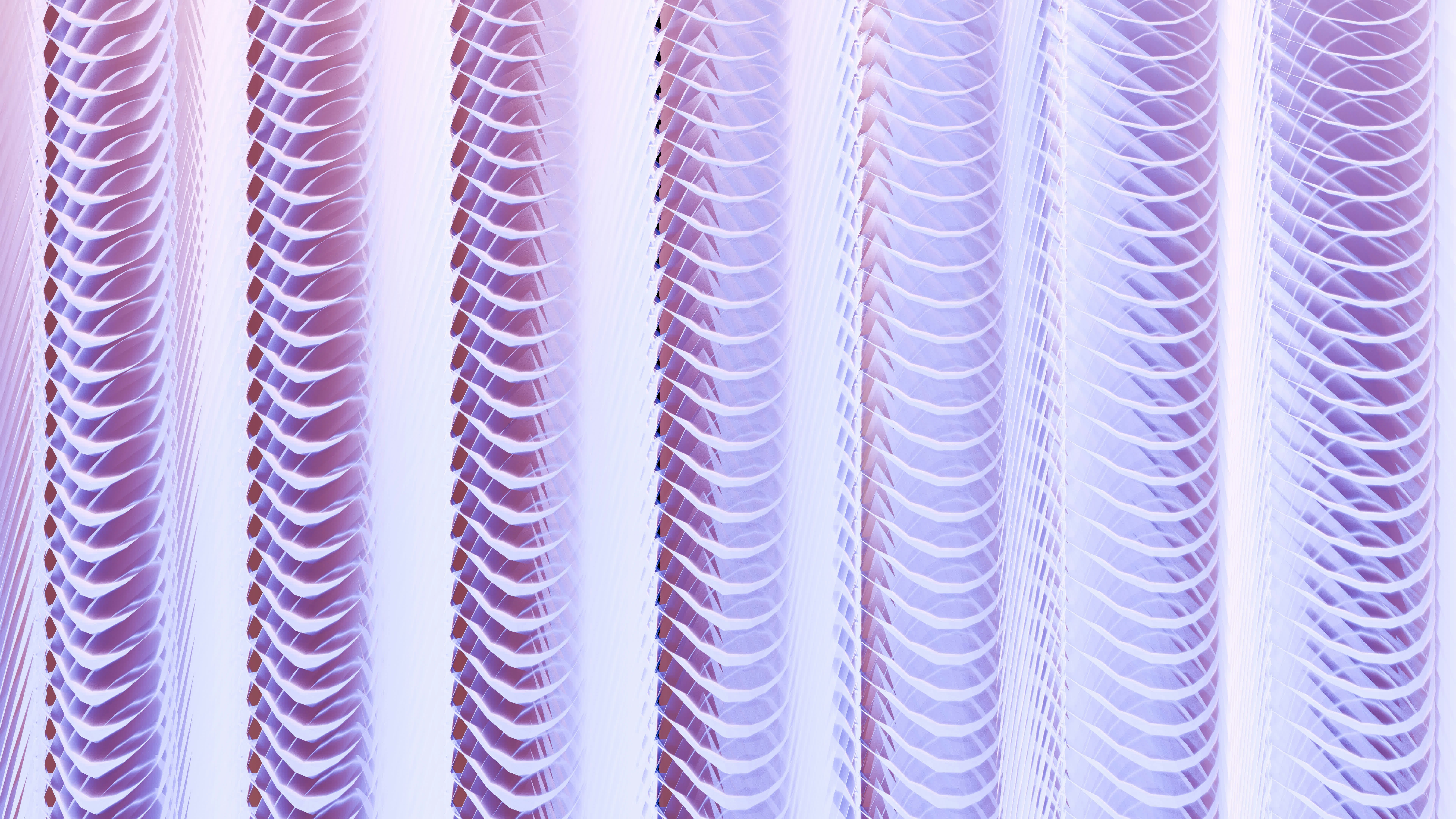 Photo by whisperingshiba