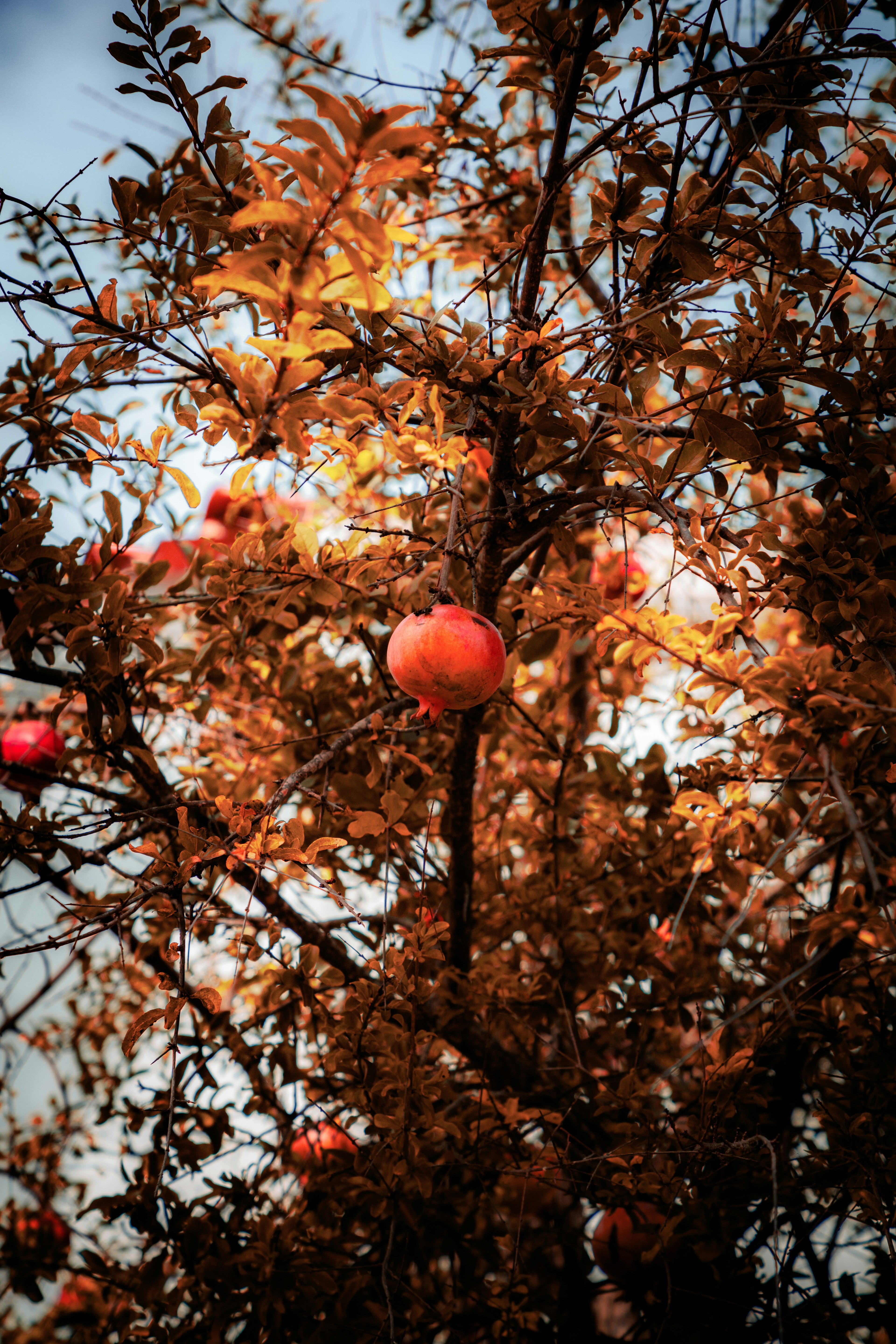 Photo by luke_photography