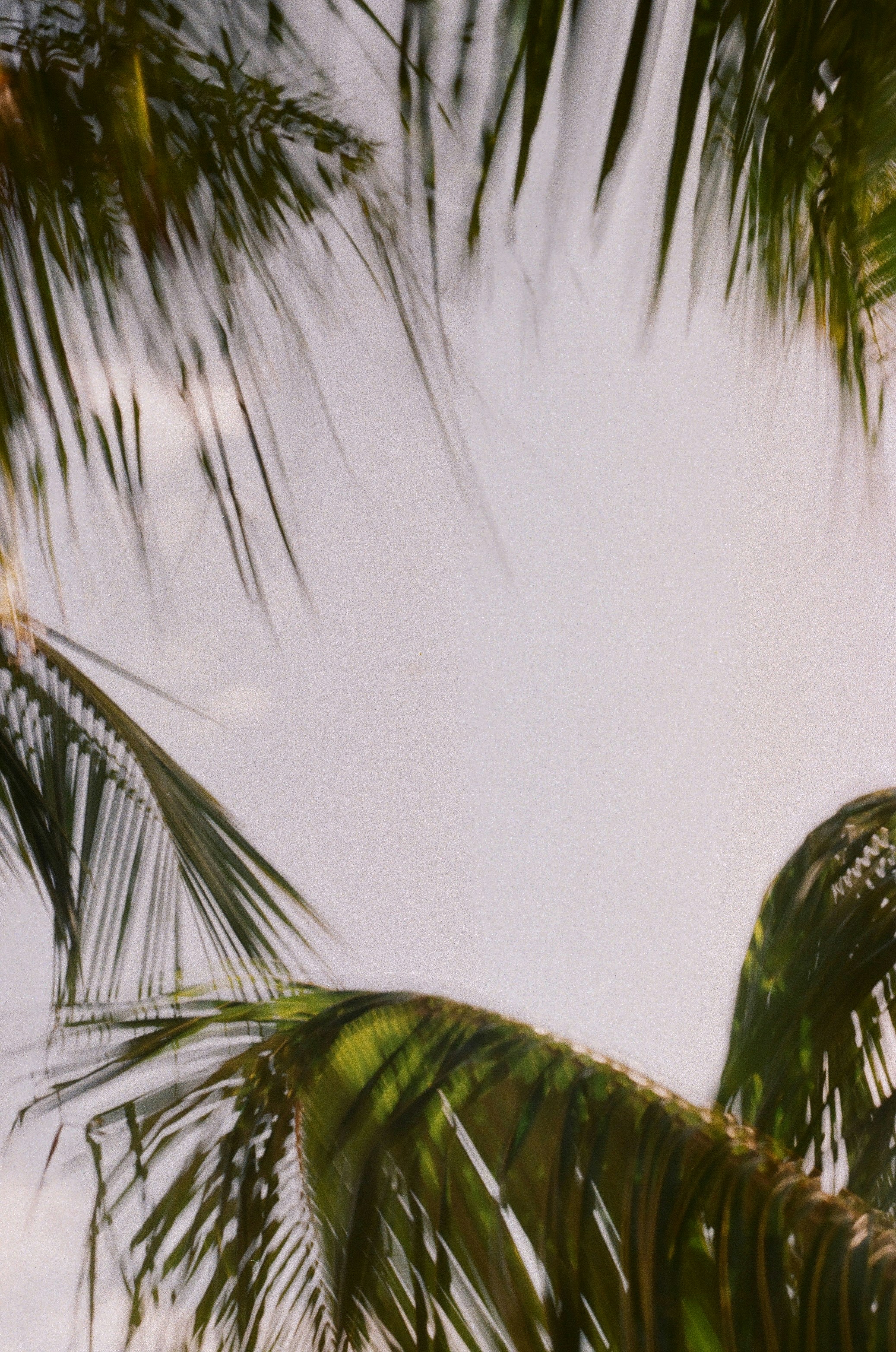 Photo by zoeeefitzgerald