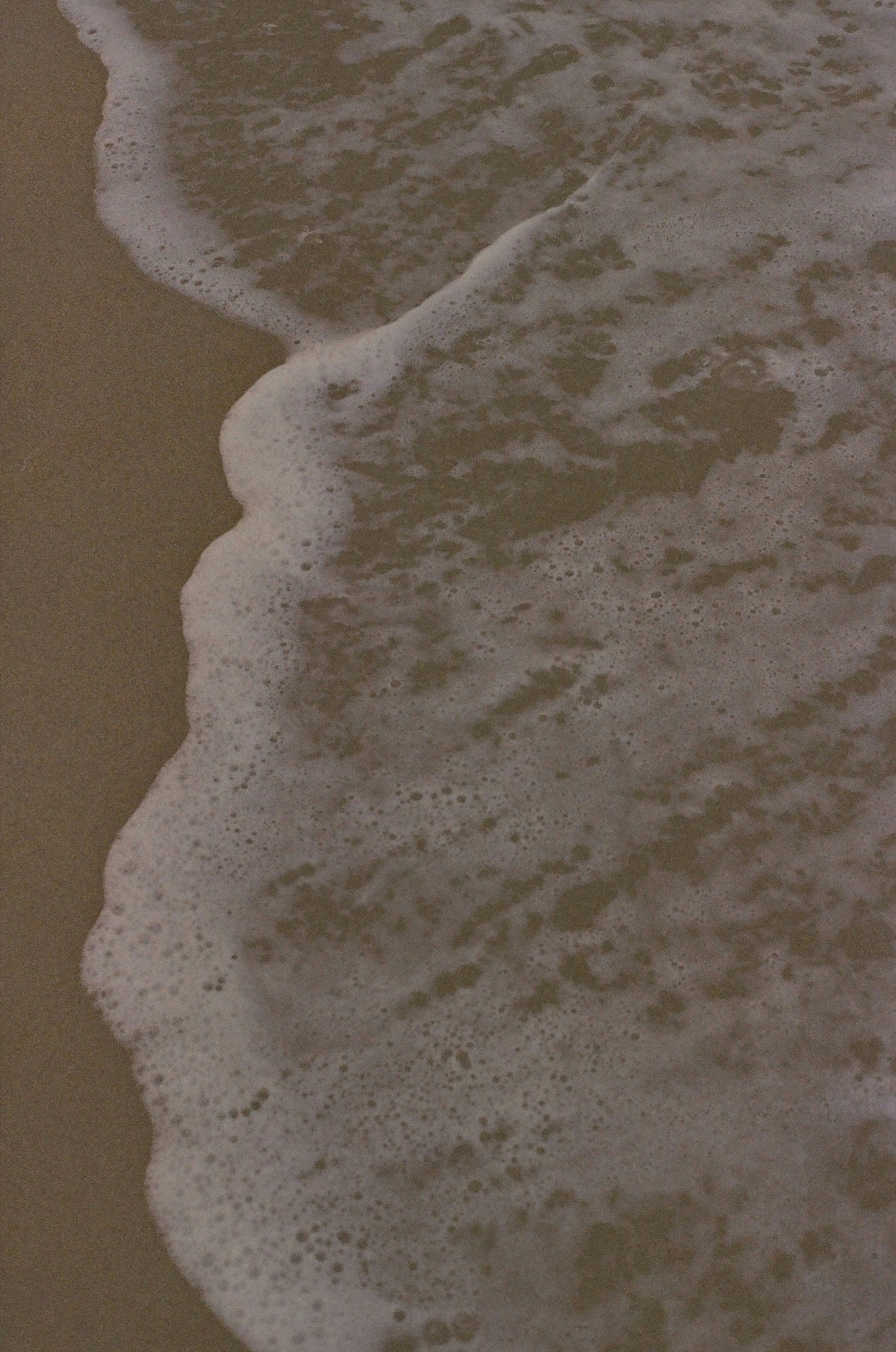 Photo by zoeeefitzgerald