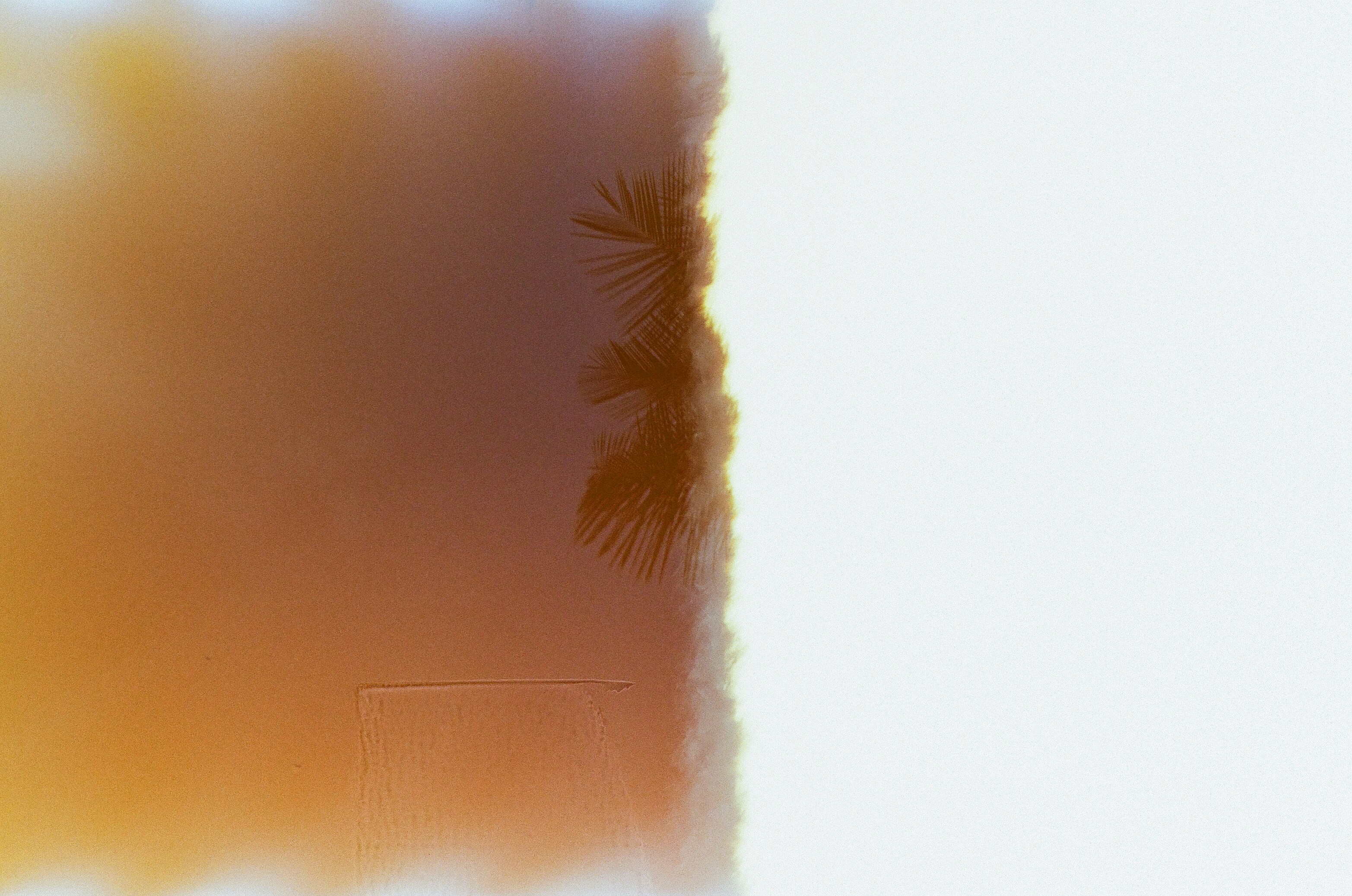 Photo by zoeeefitzgerald