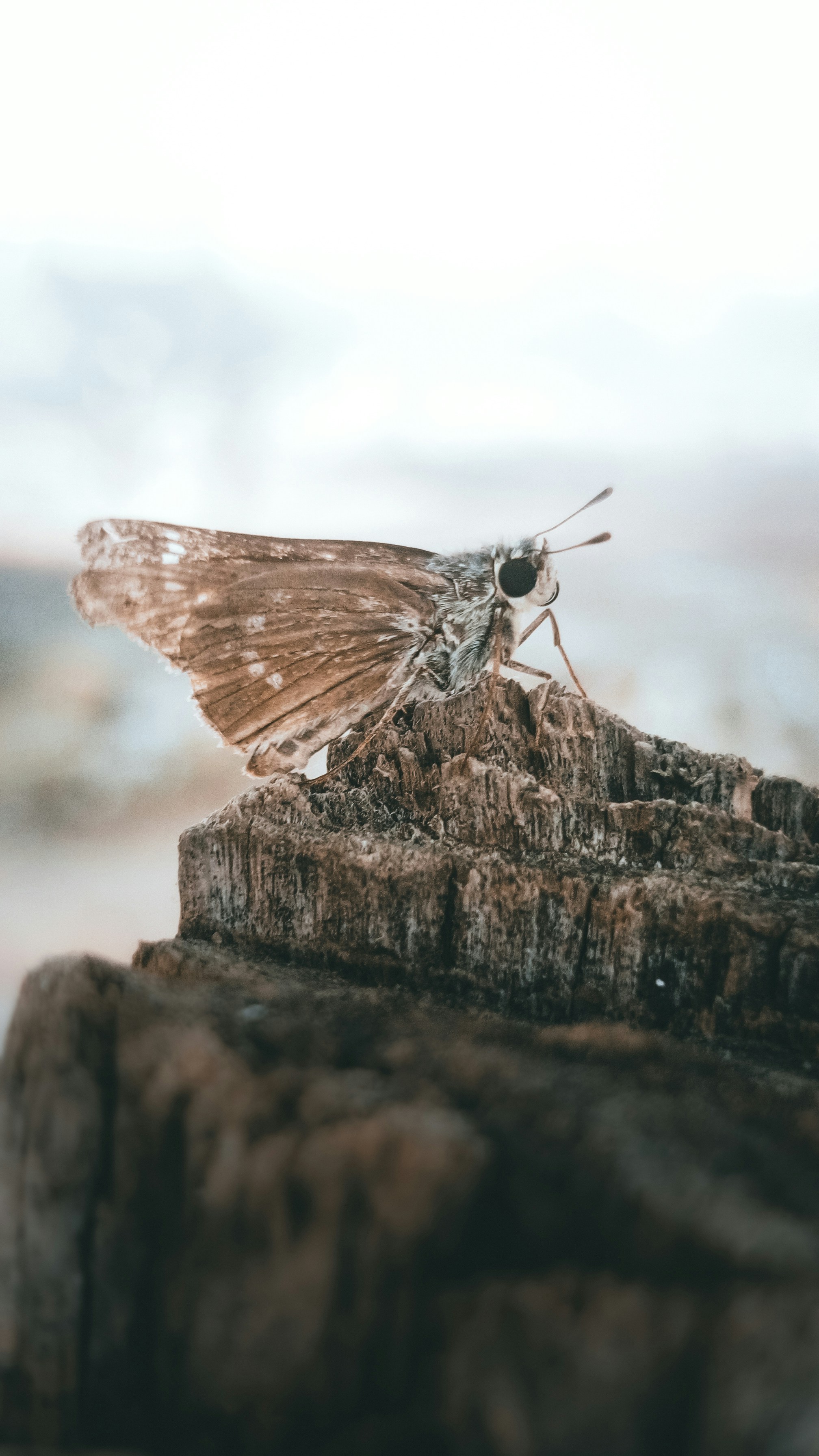 Photo by fukw0314_88