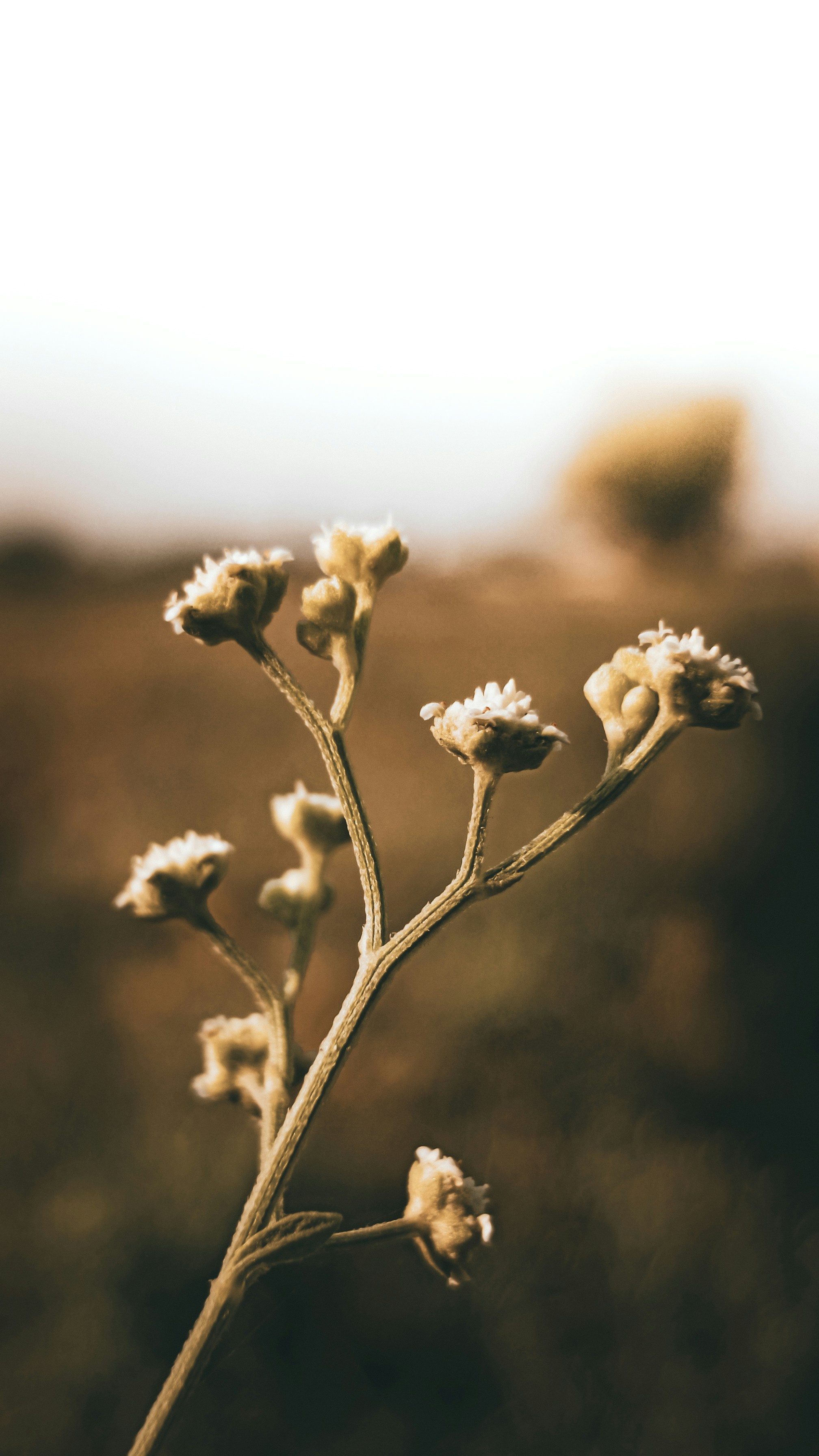 Photo by fukw0314_88