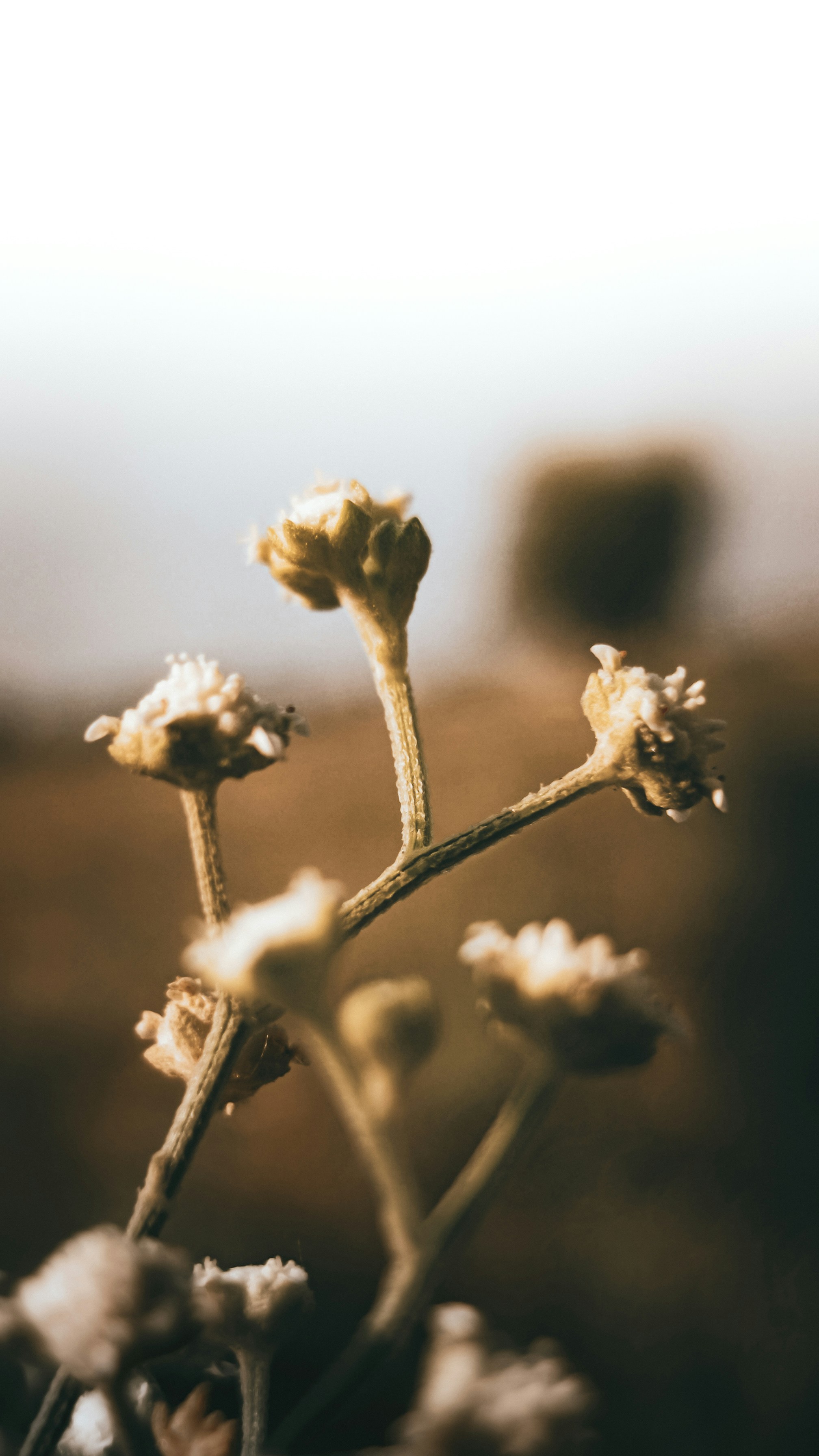 Photo by fukw0314_88