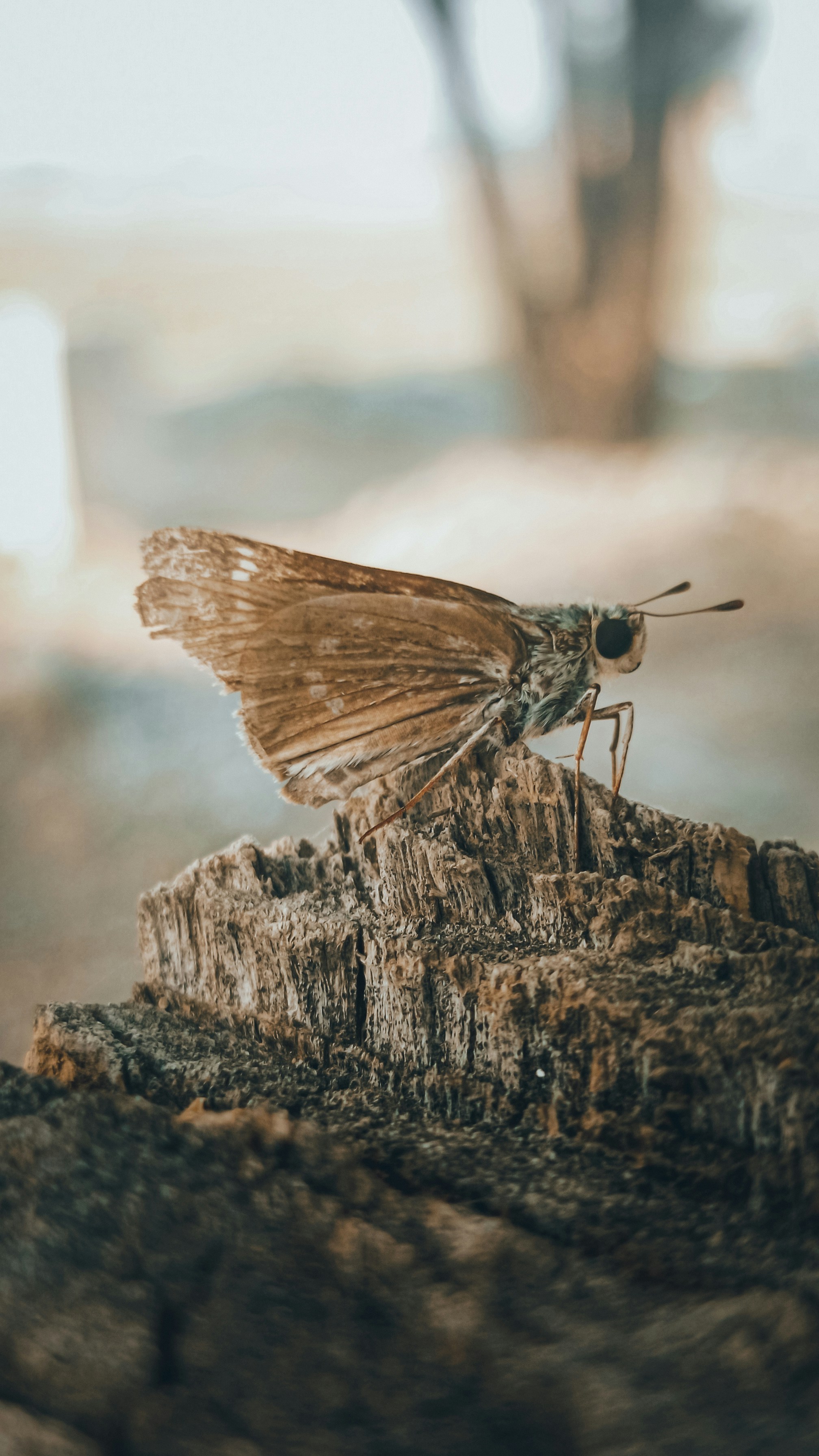 Photo by fukw0314_88