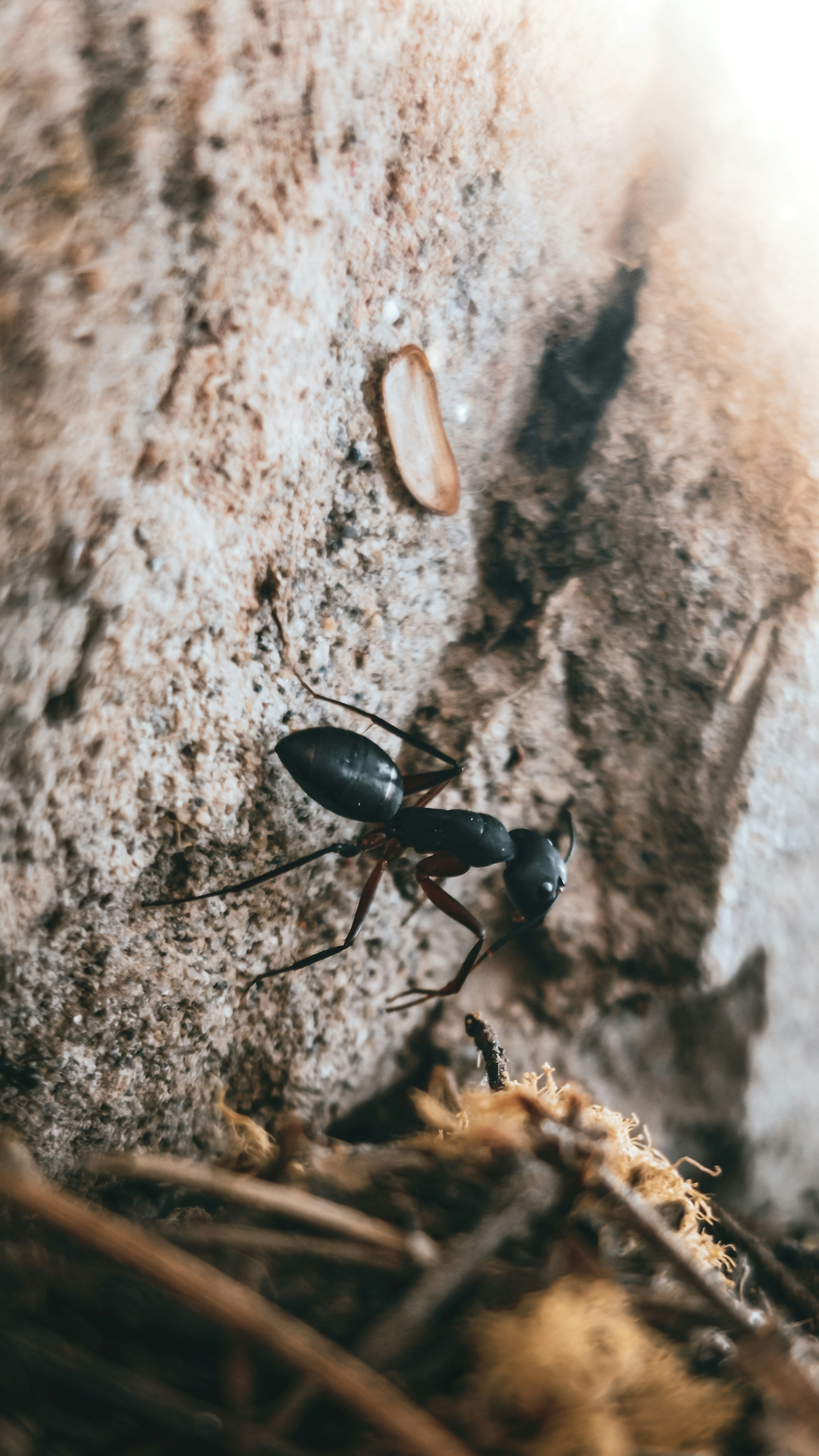 Photo by fukw0314_88