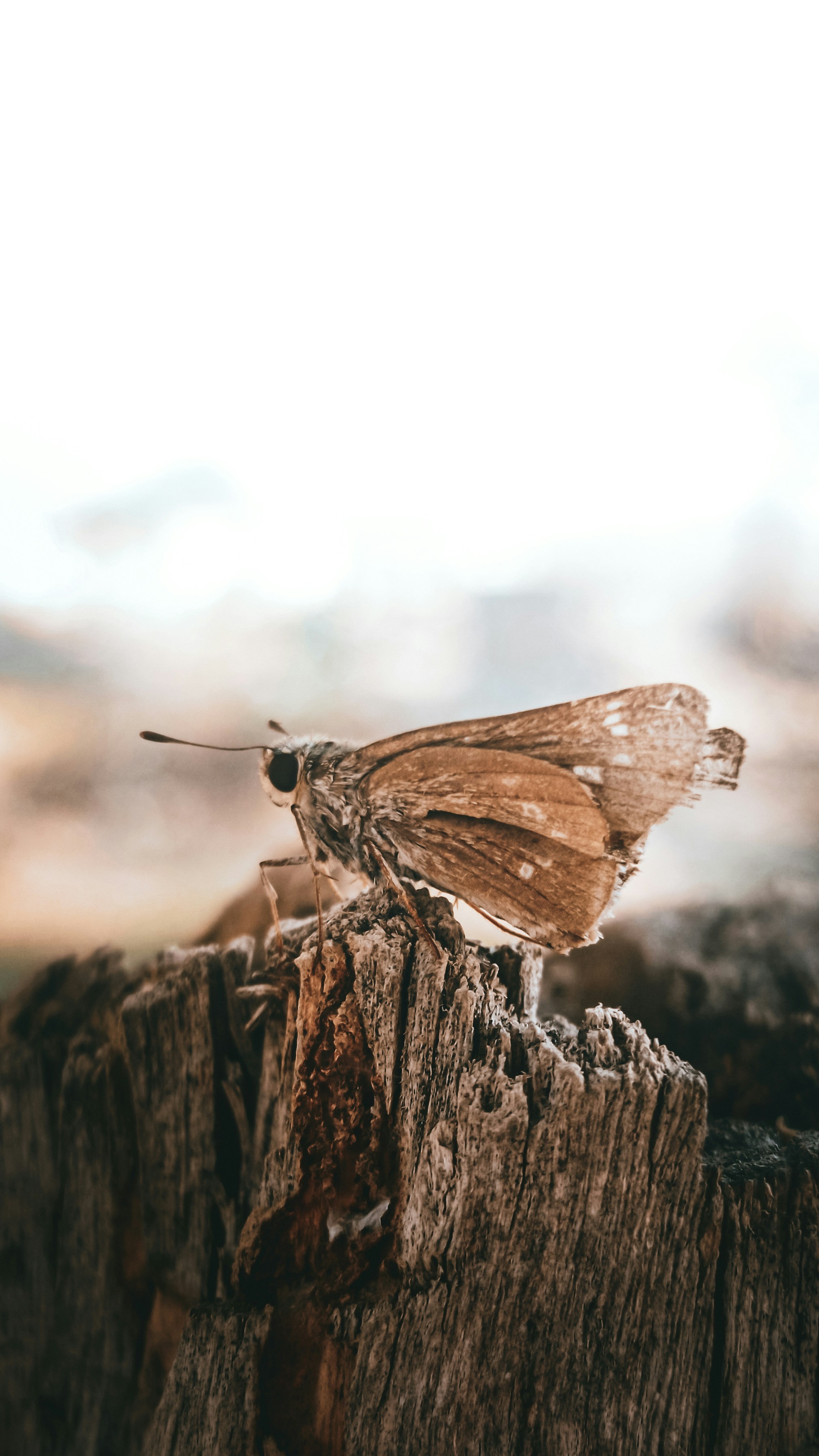 Photo by fukw0314_88