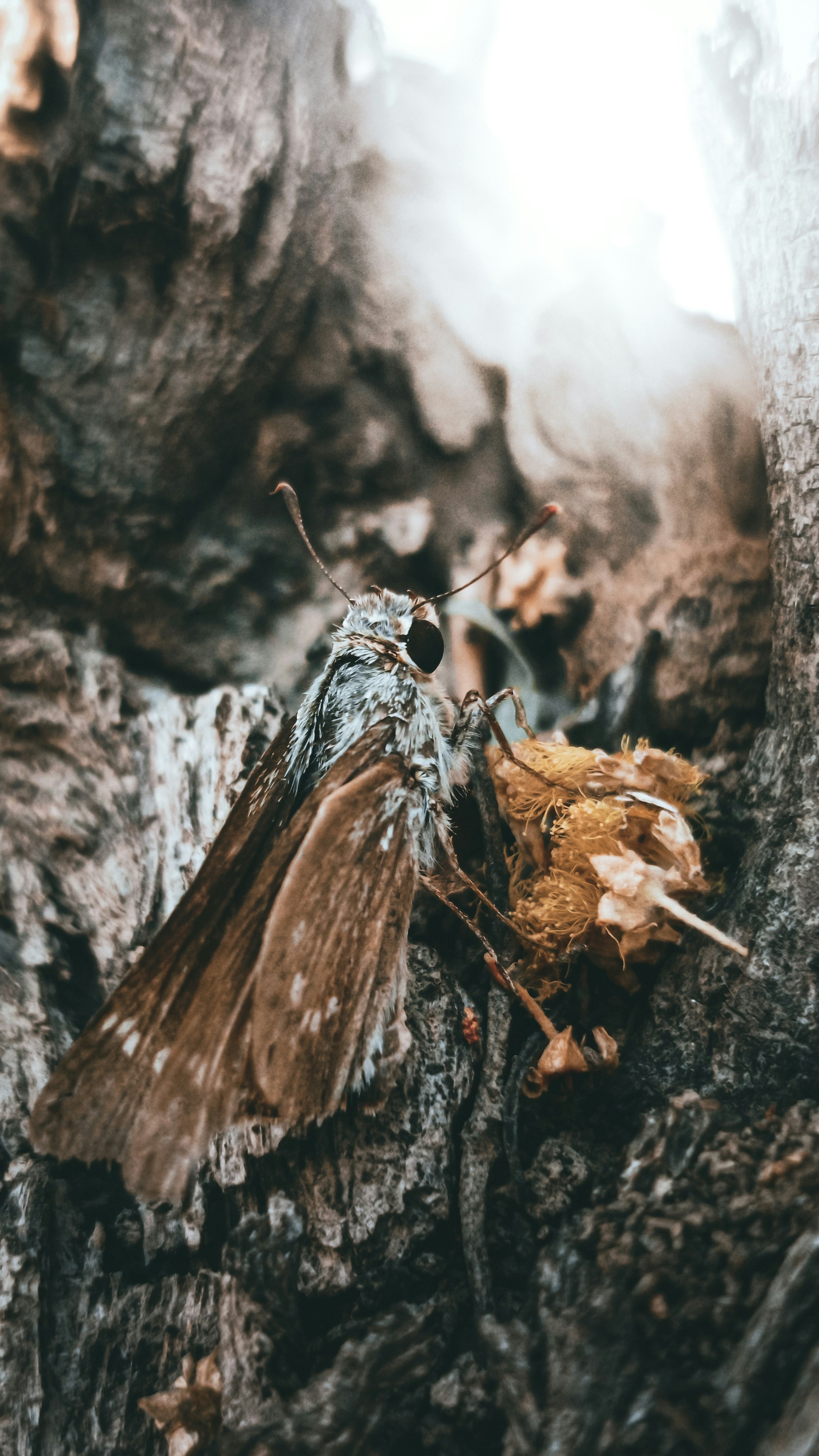 Photo by fukw0314_88