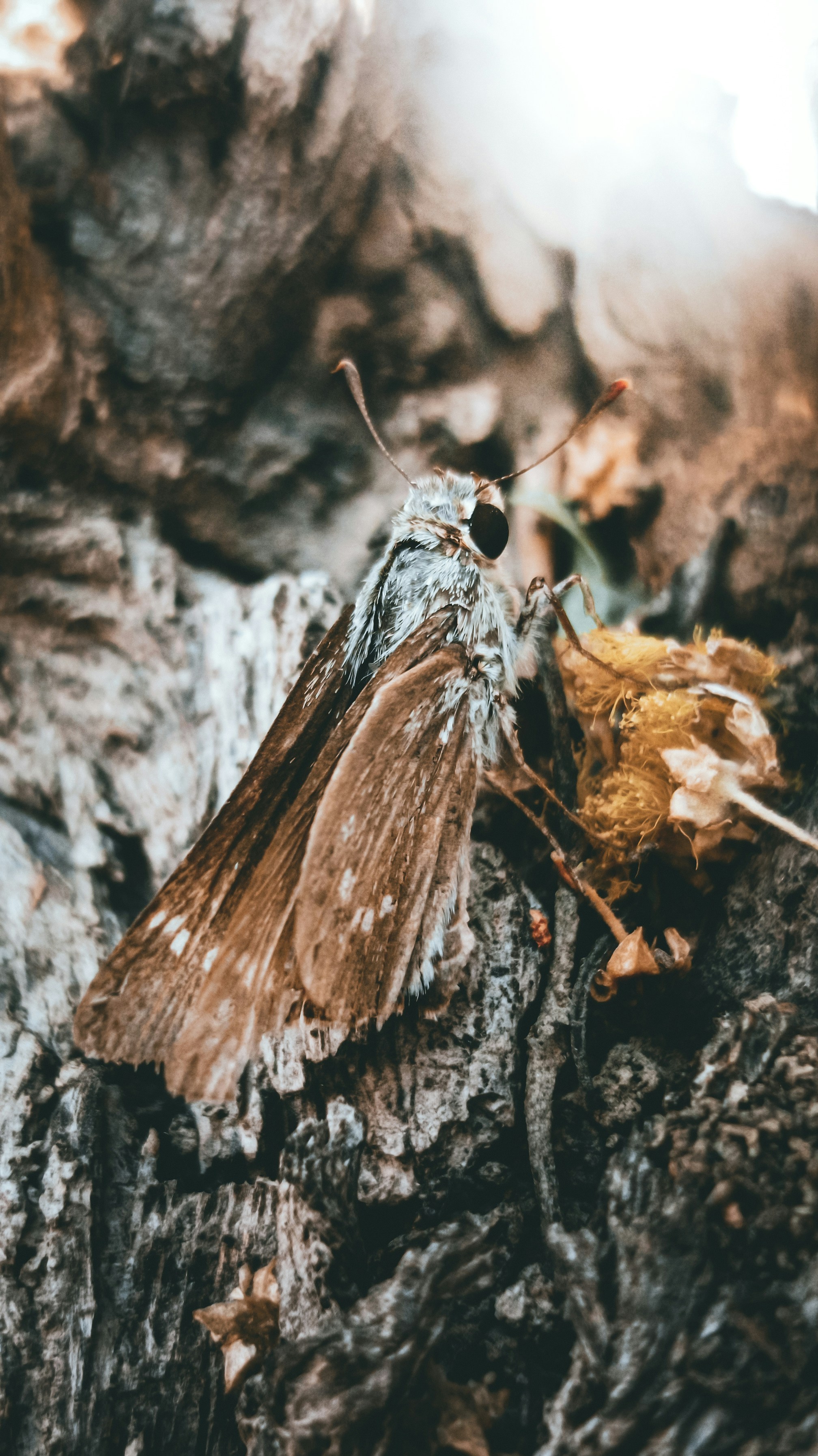 Photo by fukw0314_88