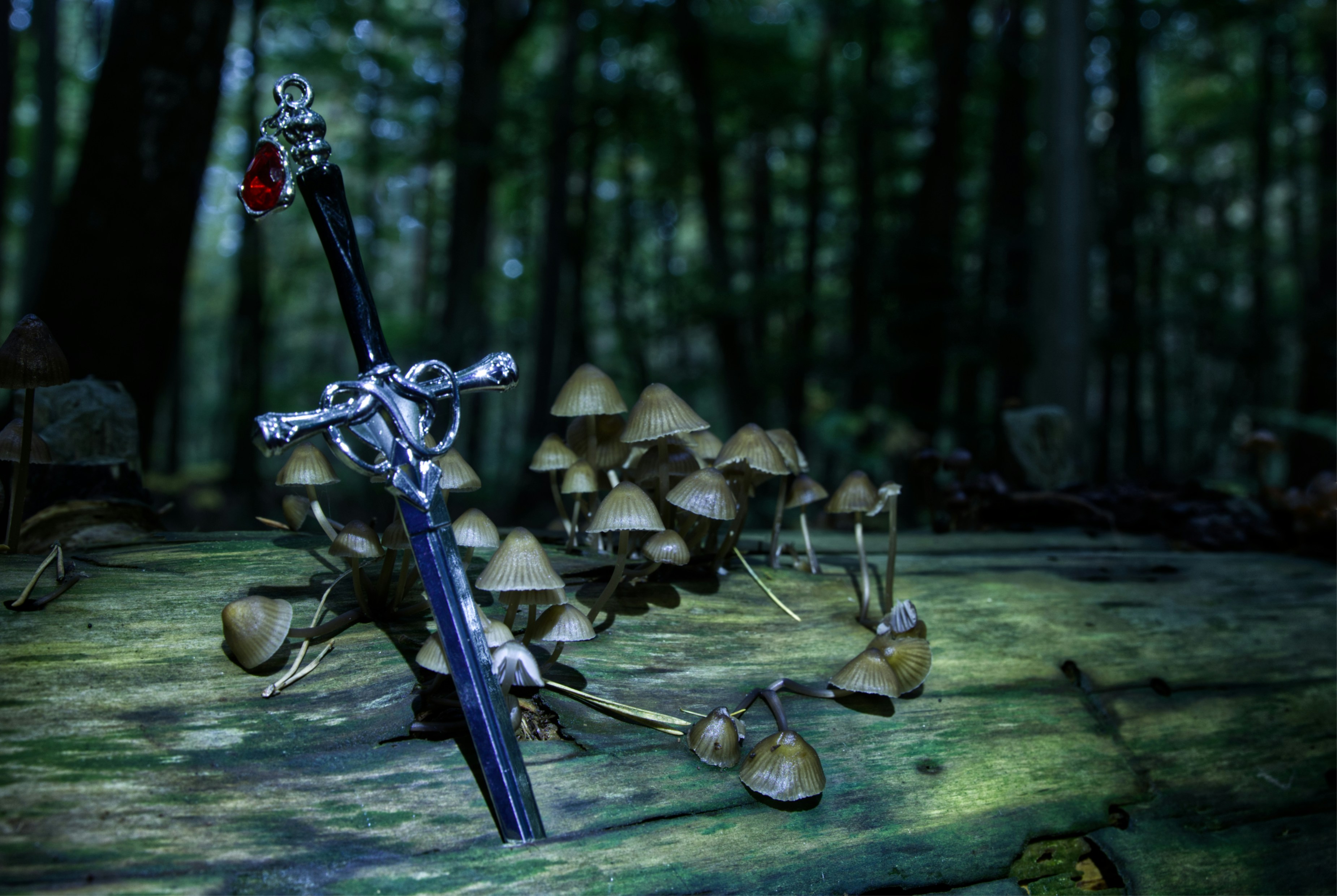 Die Pilze sind ein Reich eukaryotischer Lebewesen. Sie sind wie die Pflanzen, zu denen sie lange gerechnet wurden, sesshaft, können jedoch keine Photosynthese betreiben.