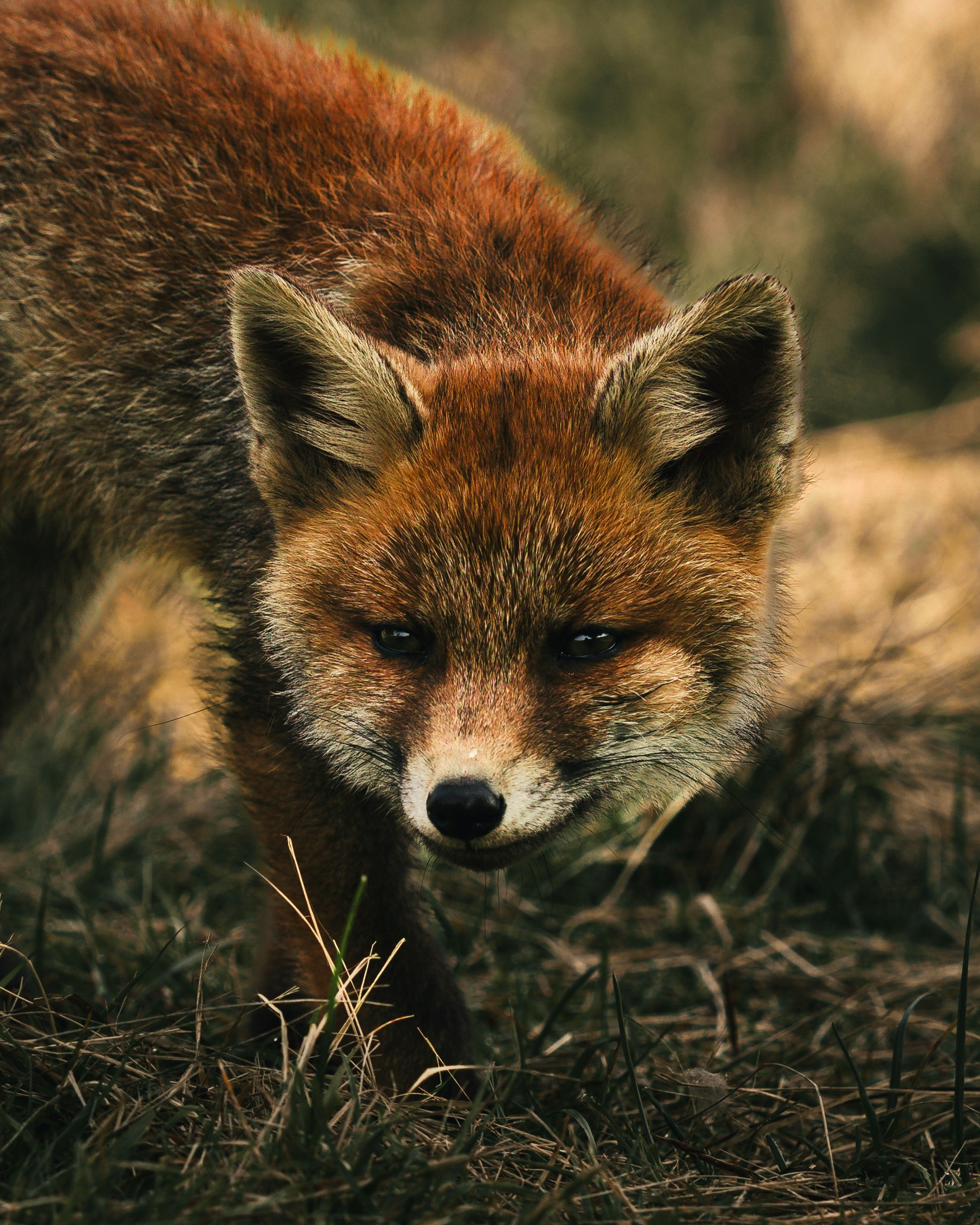 Photo by dylancalluy