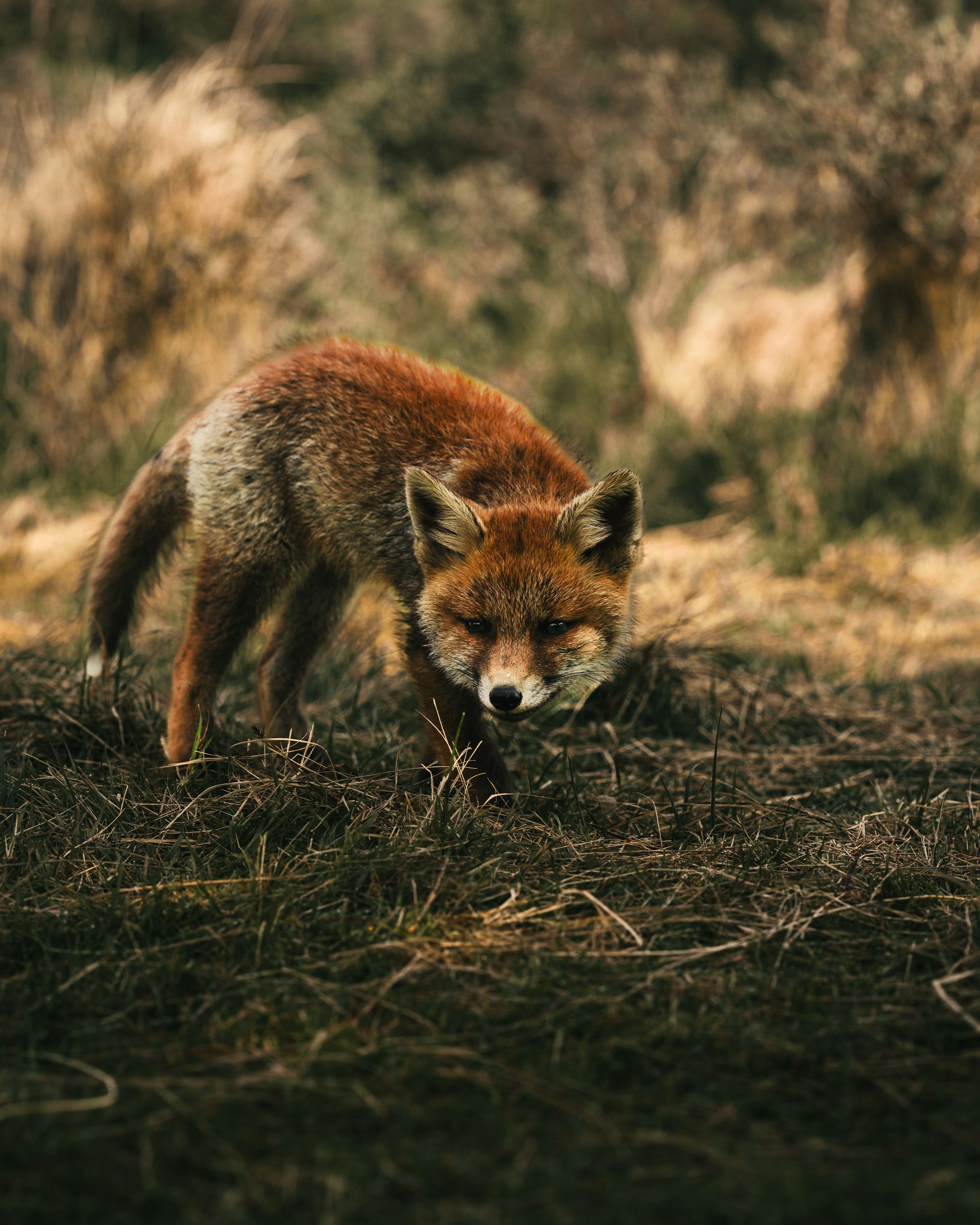 Photo by dylancalluy