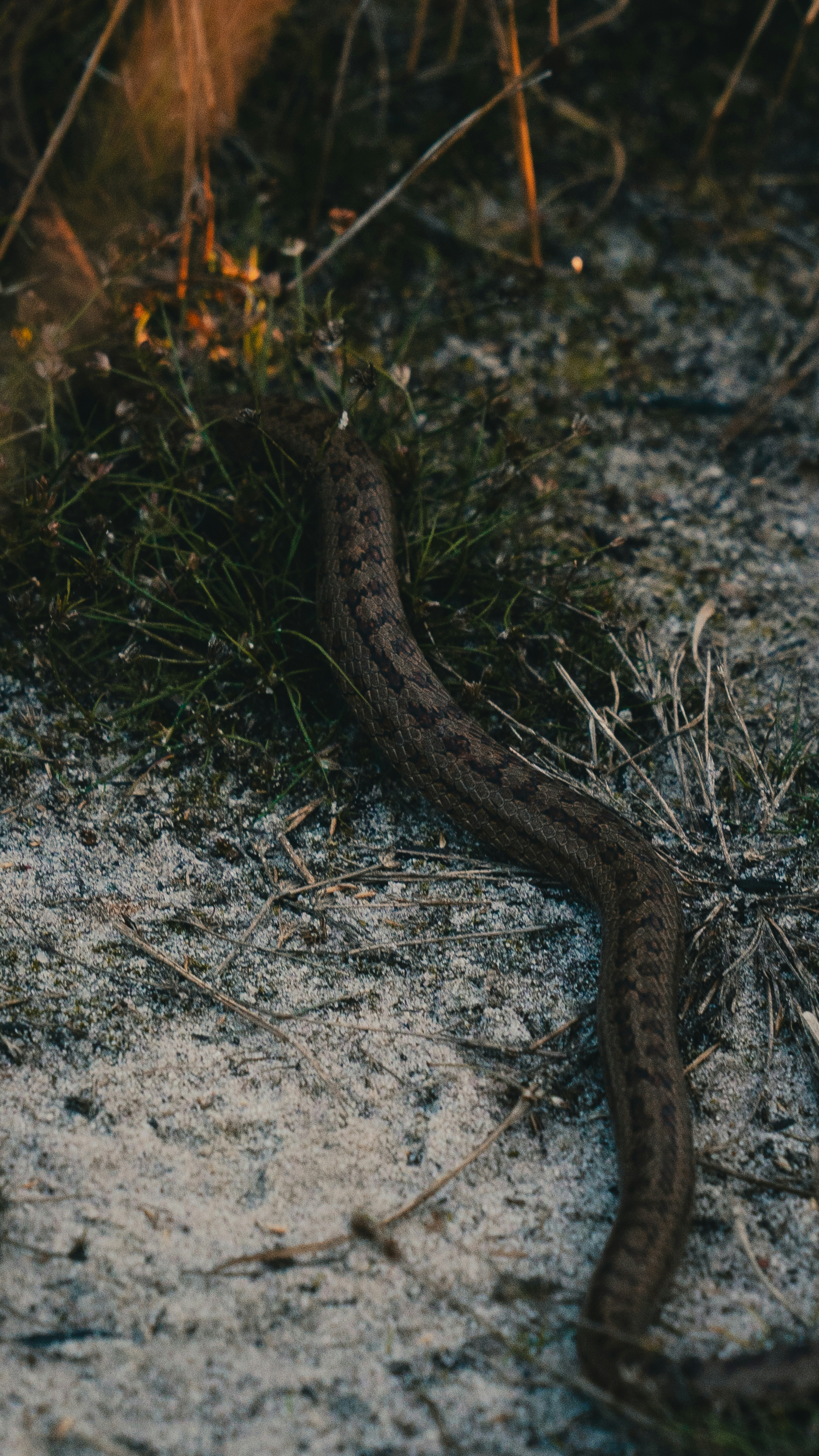 Photo by dylancalluy