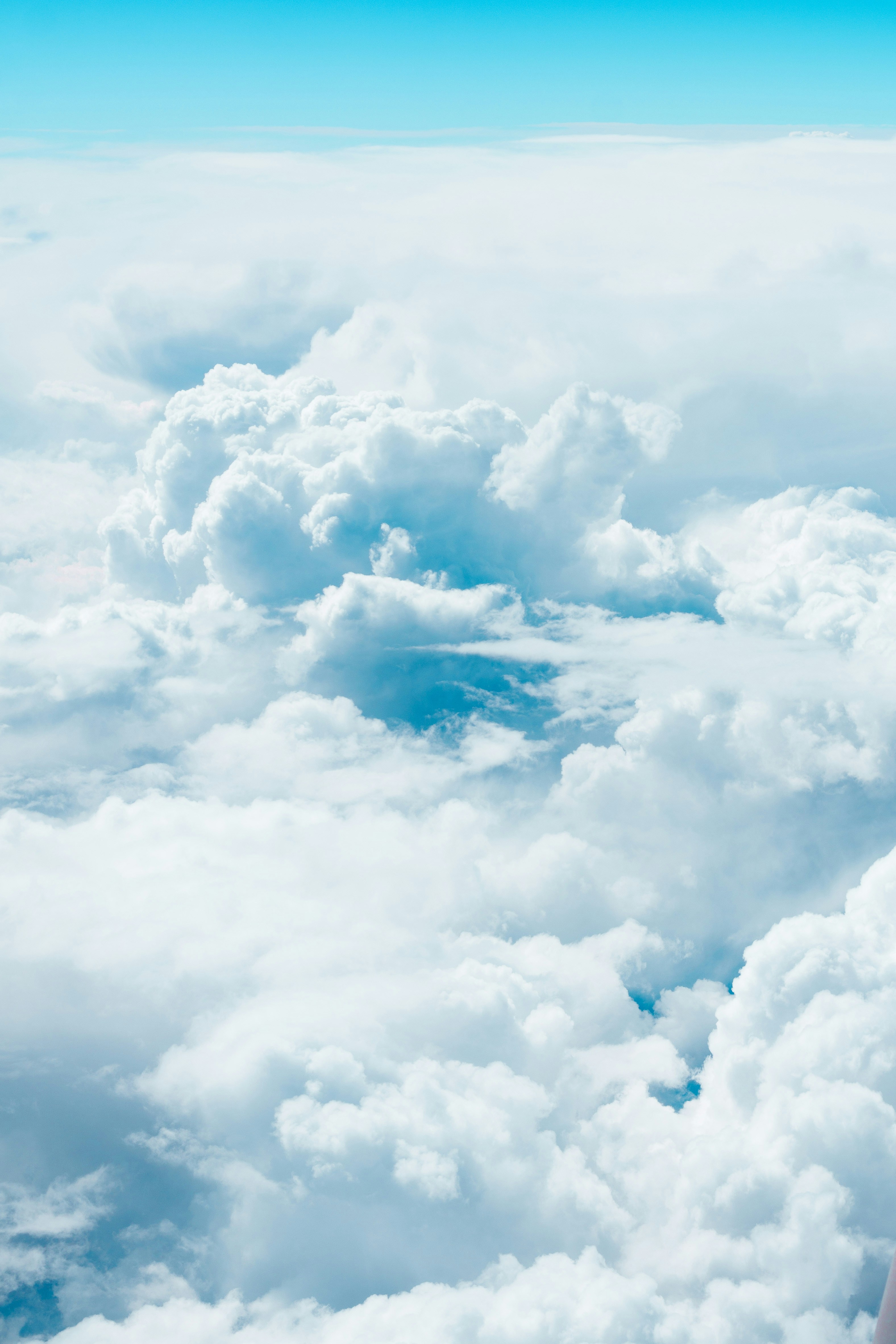 Photo by alirezamirzabegi