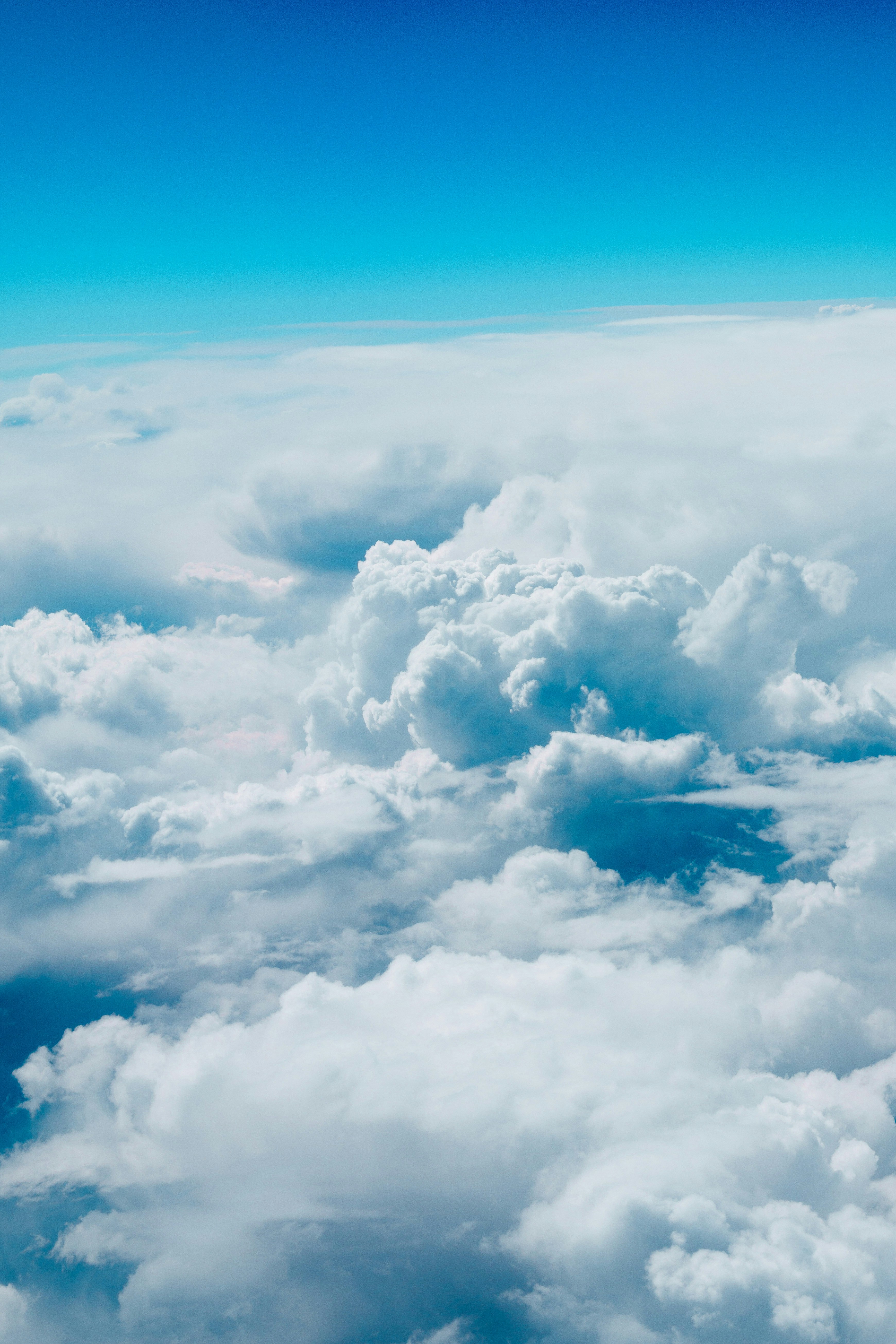 Photo by alirezamirzabegi