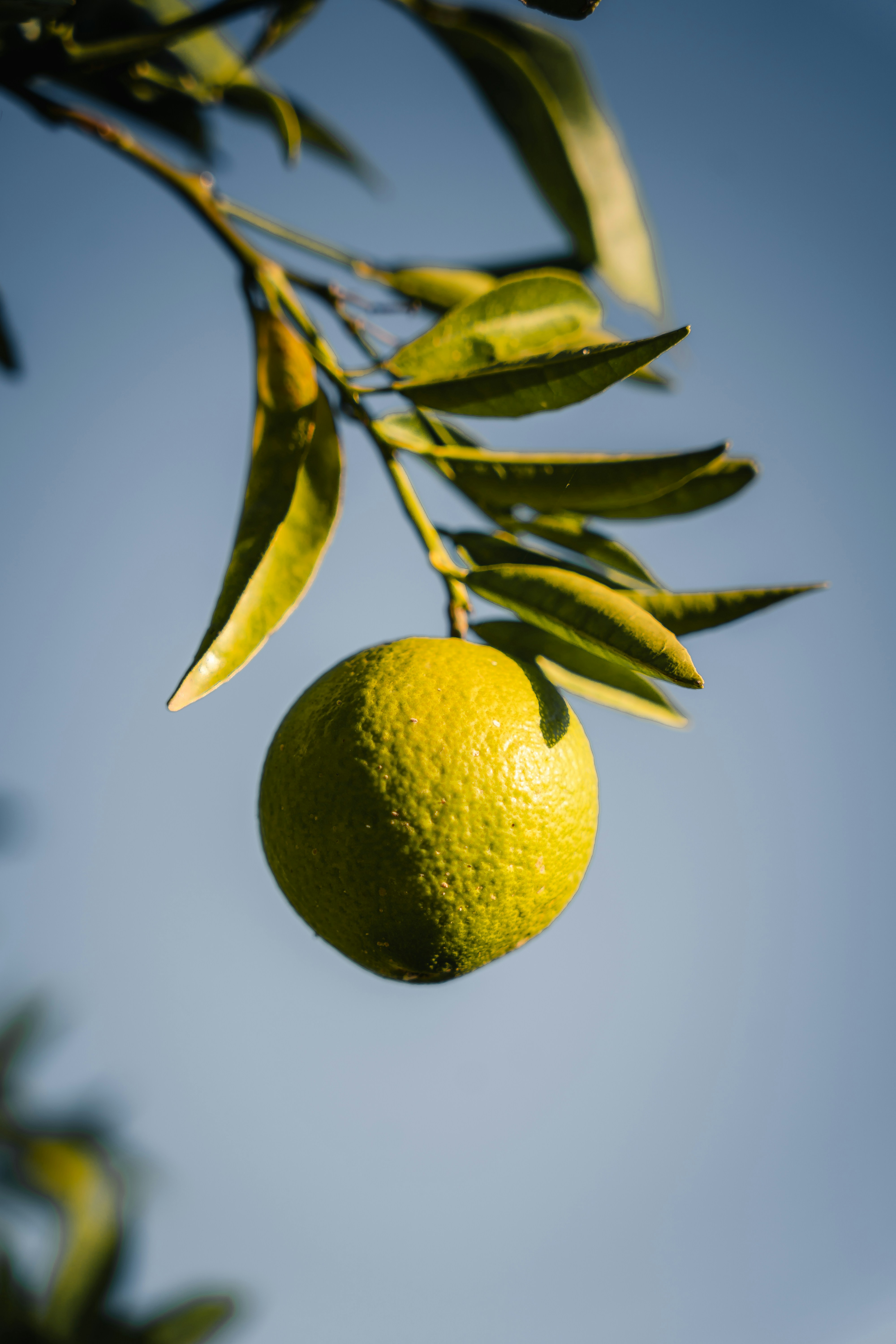 Photo by dermanuskript