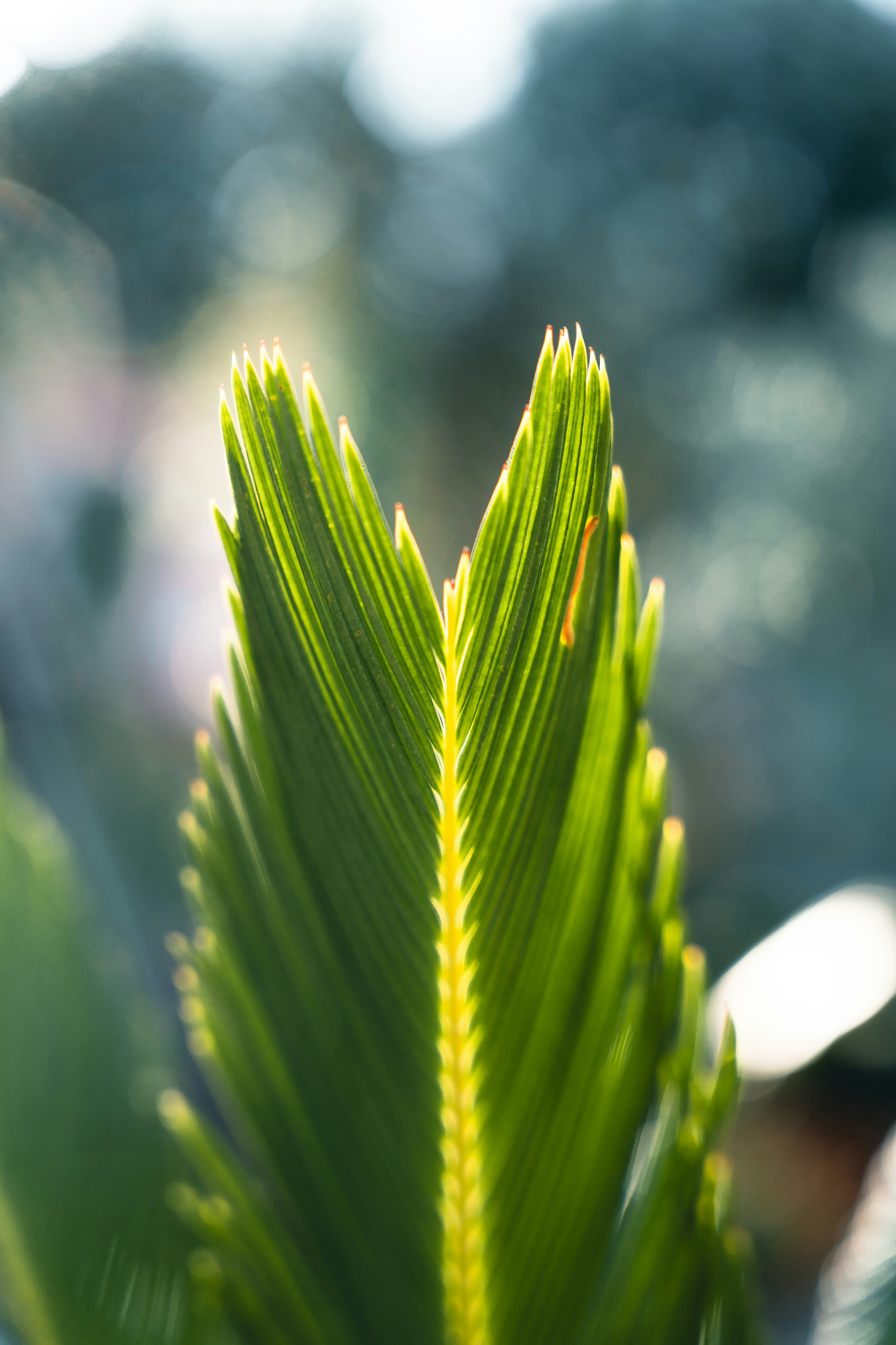 Photo by dermanuskript