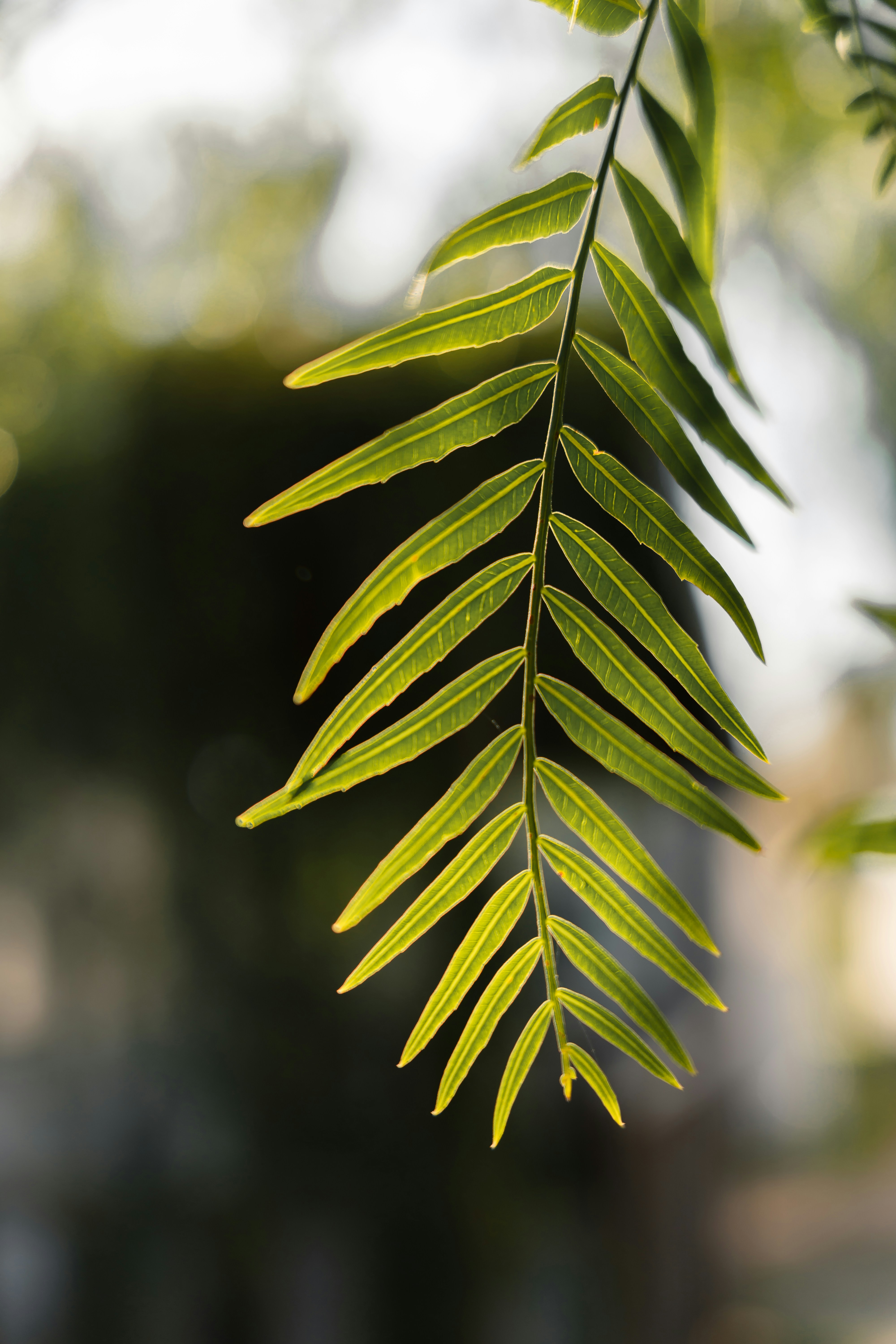 Photo by dermanuskript