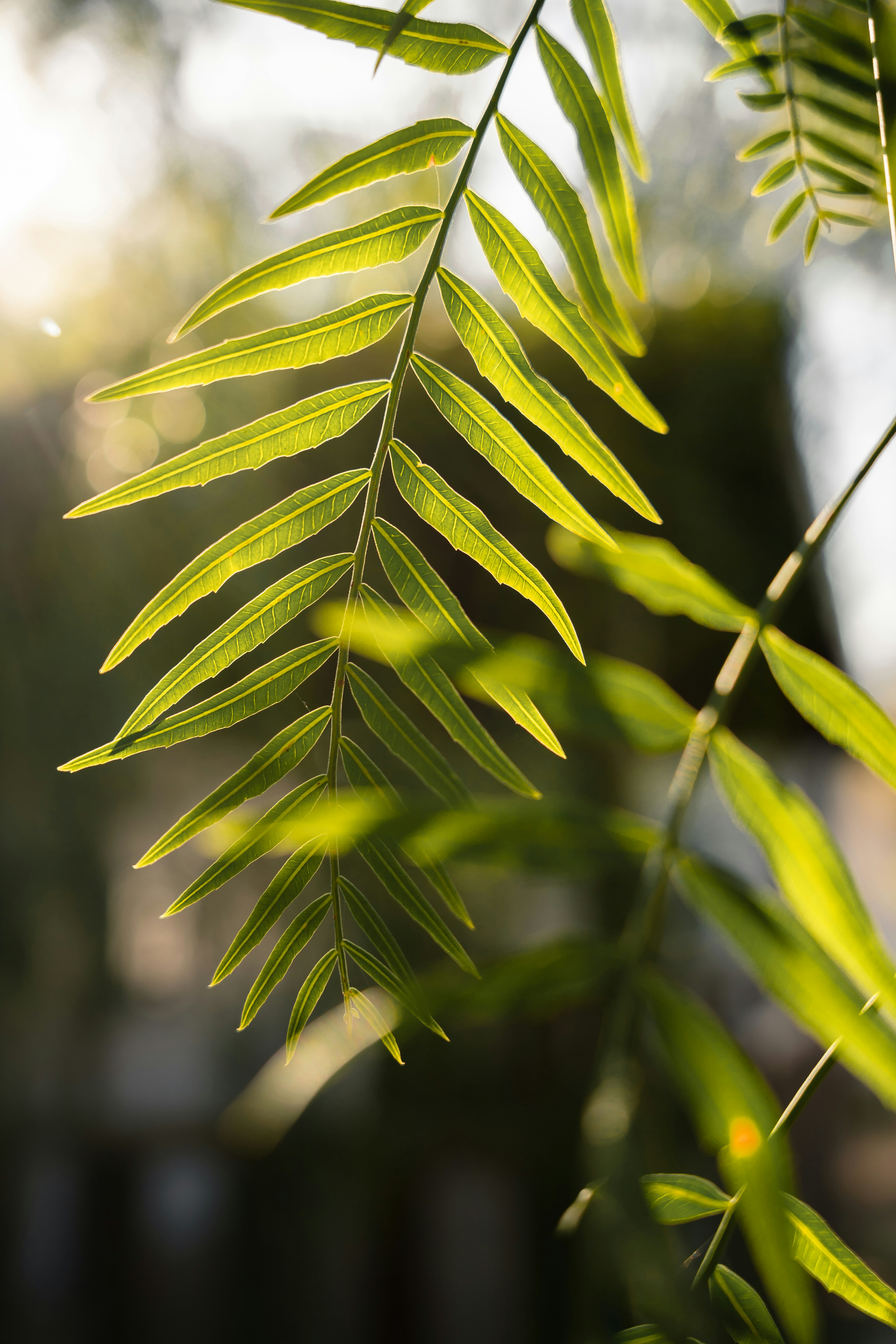 Photo by dermanuskript