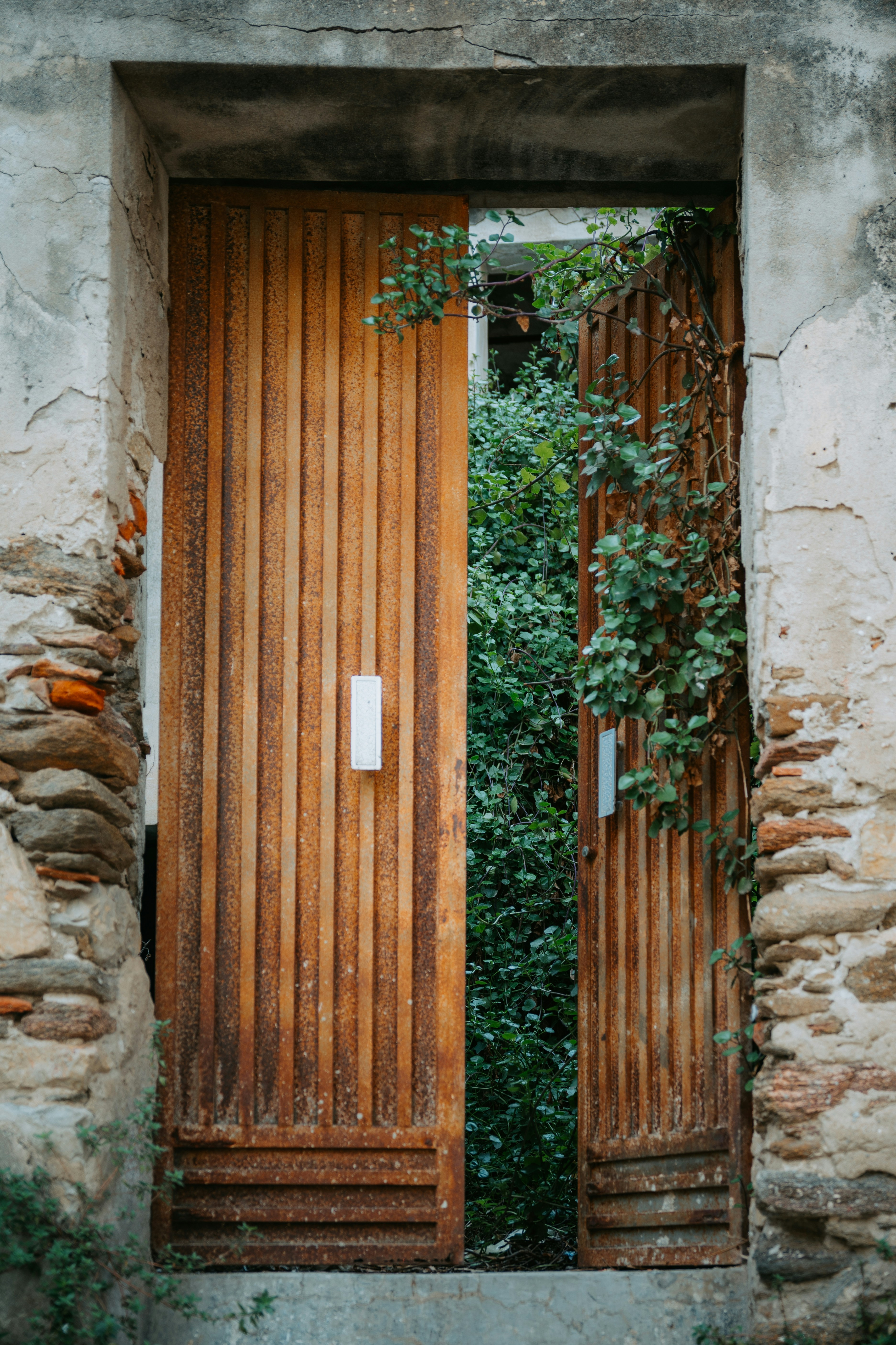 Photo by dermanuskript