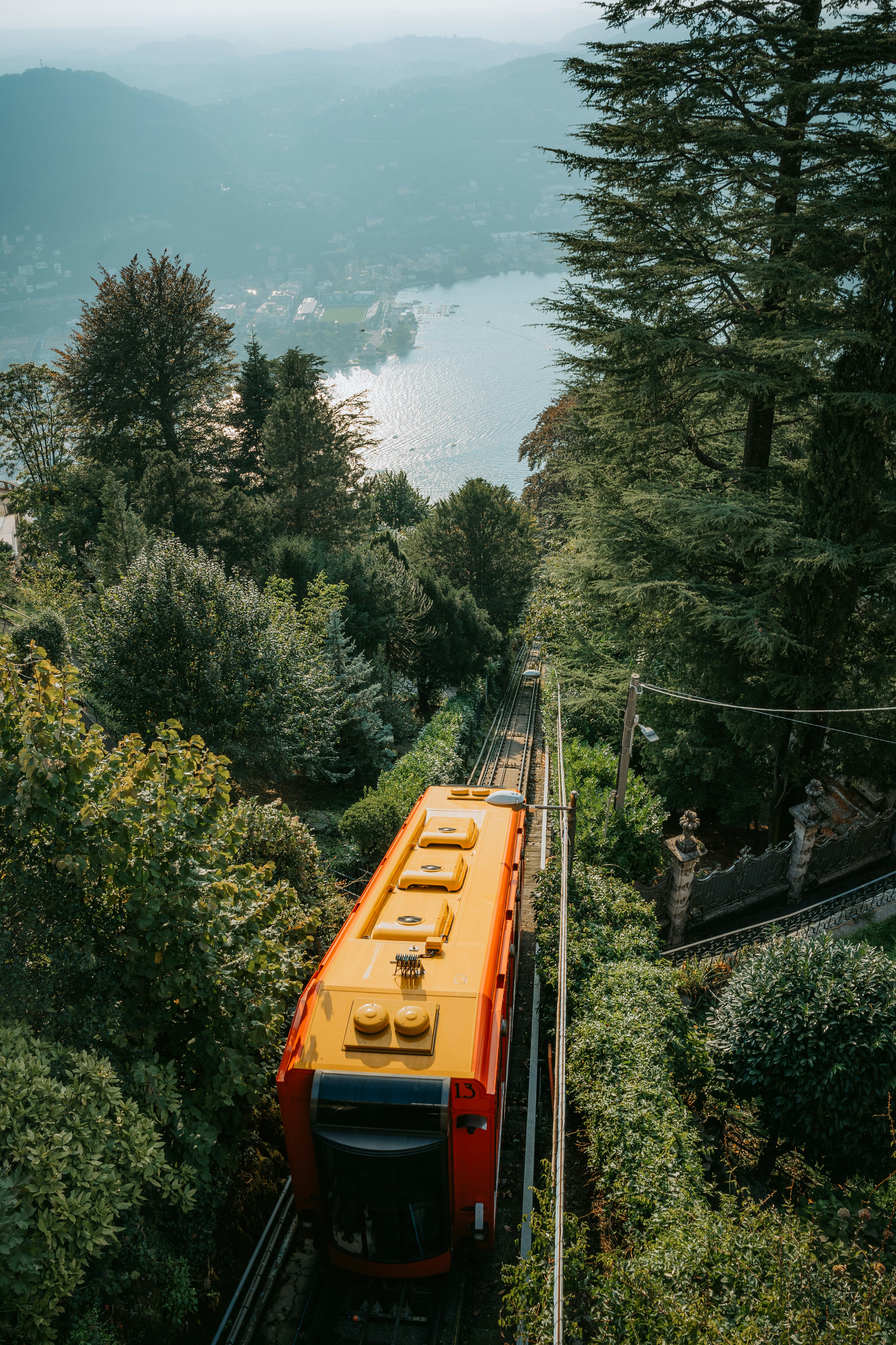A train traveling through a lush green forest