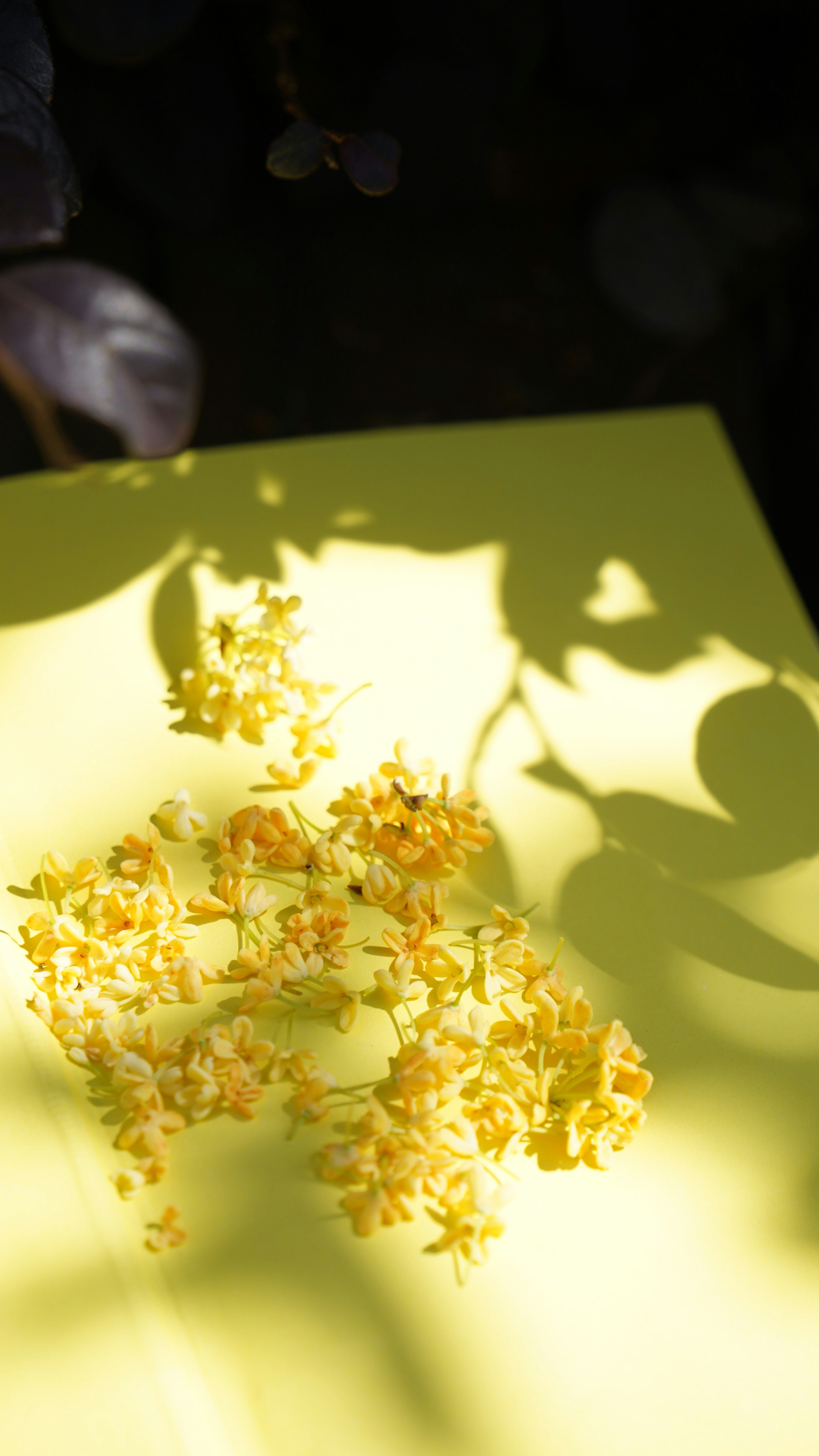 Ein gelbes Blatt Papier mit gelben Blumen darauf