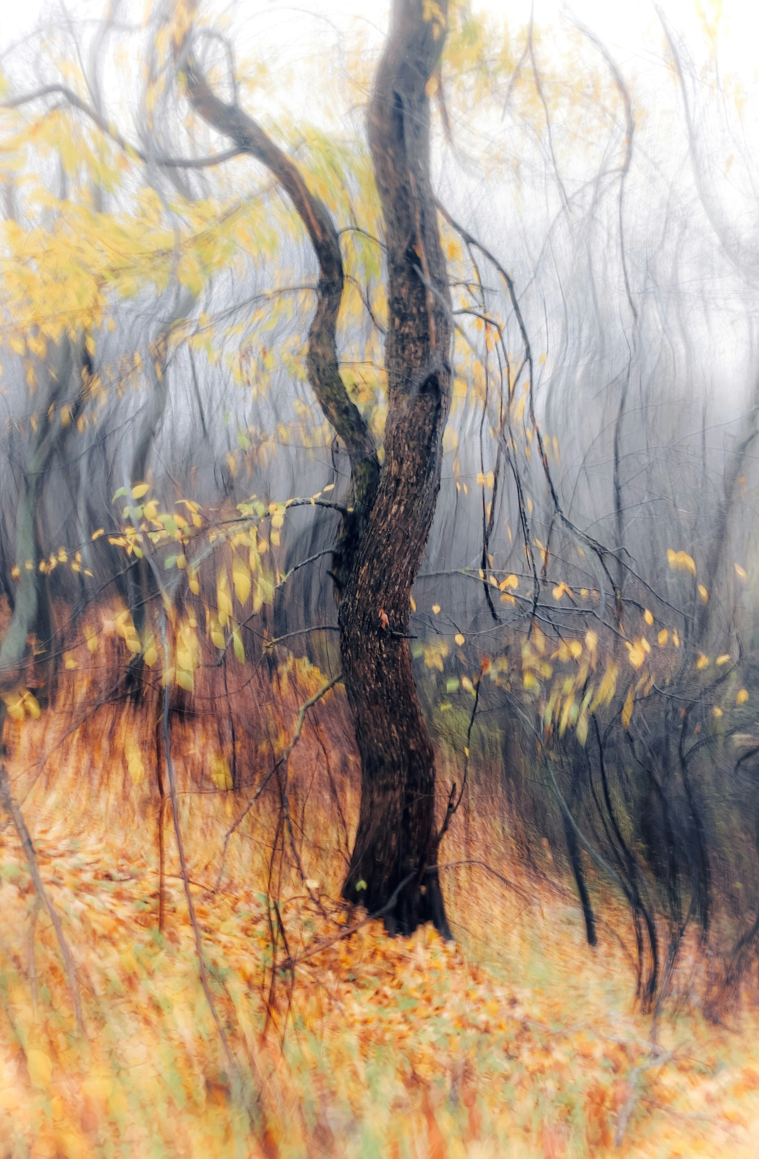 Photo by eugene_golovesov