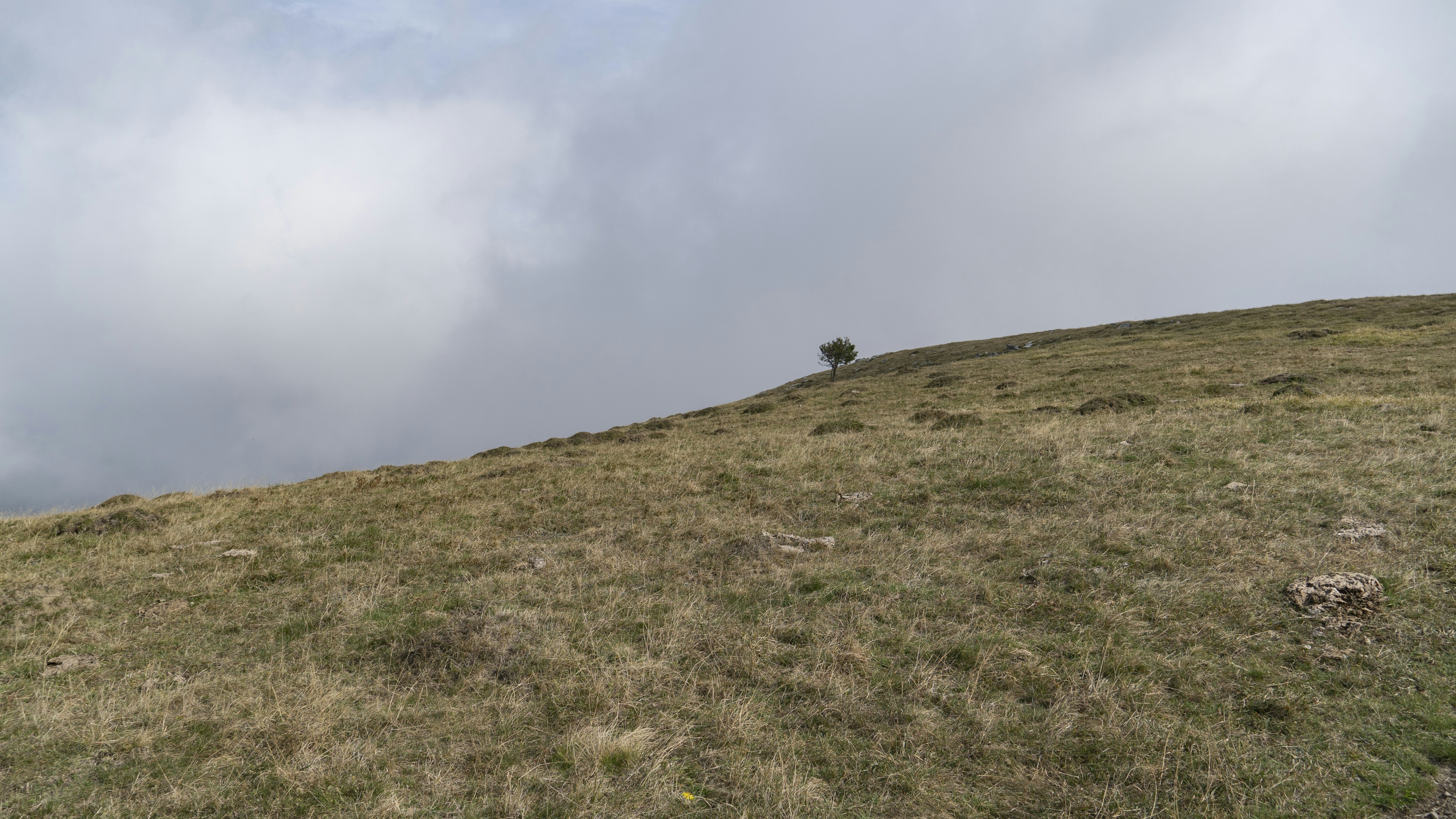 photo-1729150170664-b0a9647d7ad5?ixid=M3wxMjA3fDB8MXxzZWFyY2h8MTV8fHdoaXRlJTIwdHJ1ZmZsZSUyMGh1bnRpbmclMjBpbiUyMHRoZSUyMGJhbGthbnMlMjBob3clMjB0byUyMGZpbmQlMjB0aGVtfGVufDB8fHx8MTc2MzUzNzQxNnww\u0026ixlib=rb-4.1.0