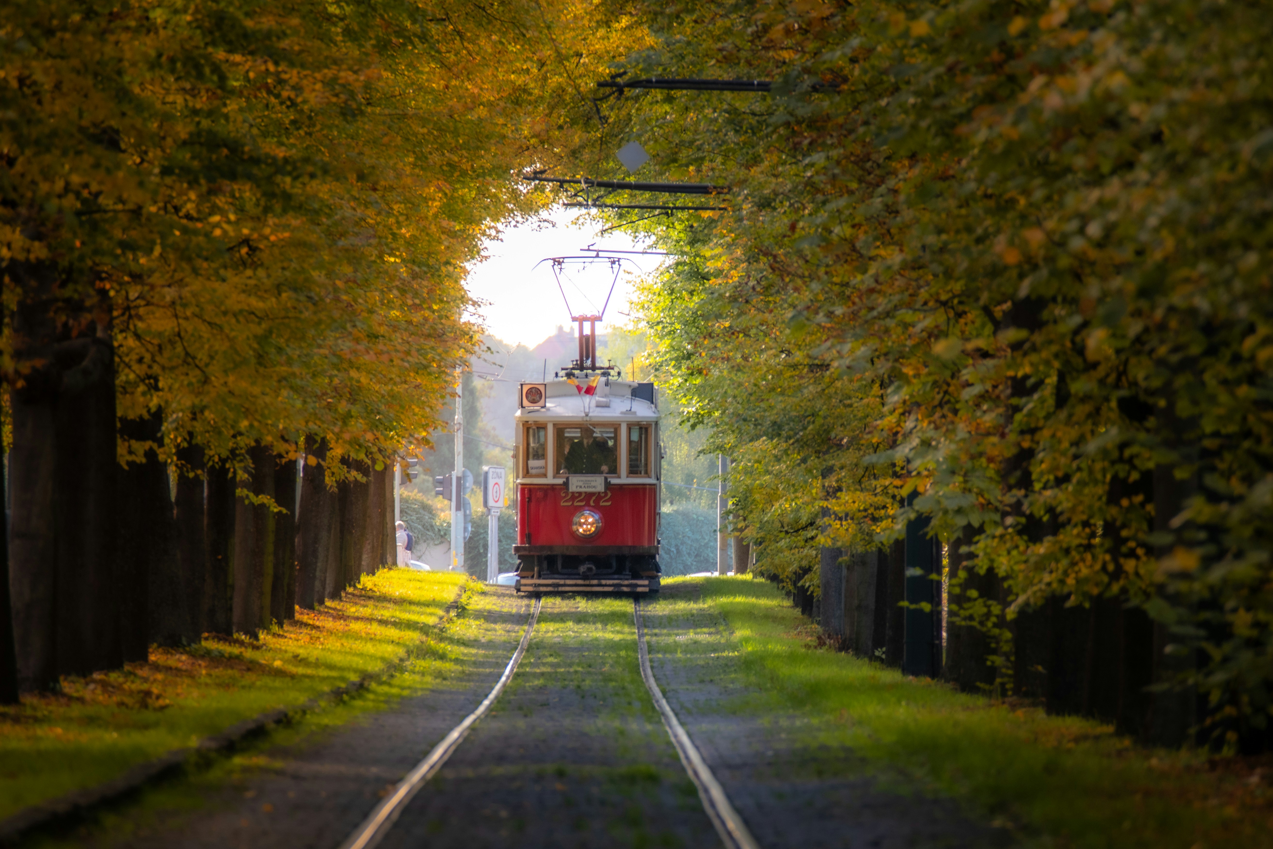 Photo by lukaskonvica