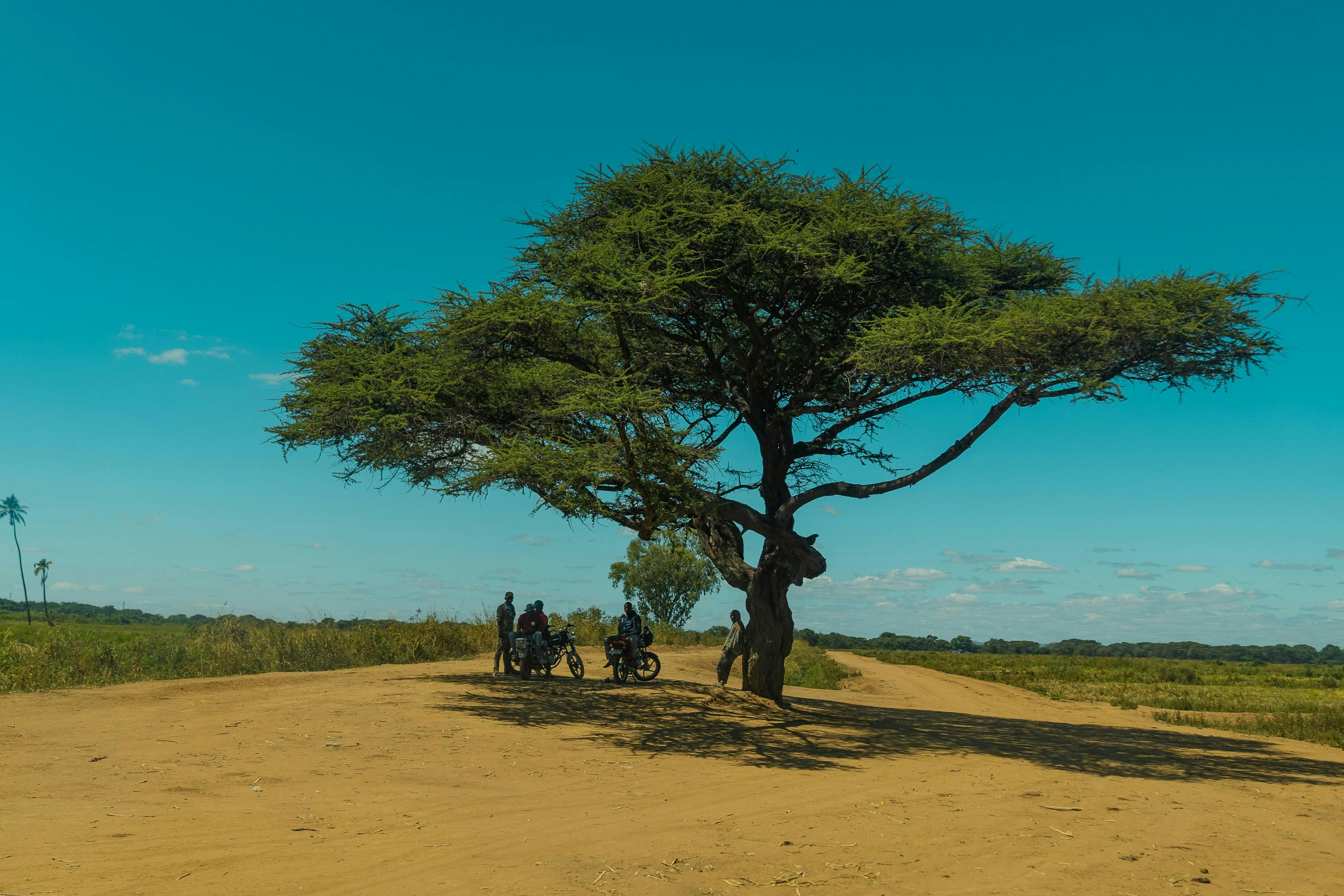A group of people walking down a dirt road
