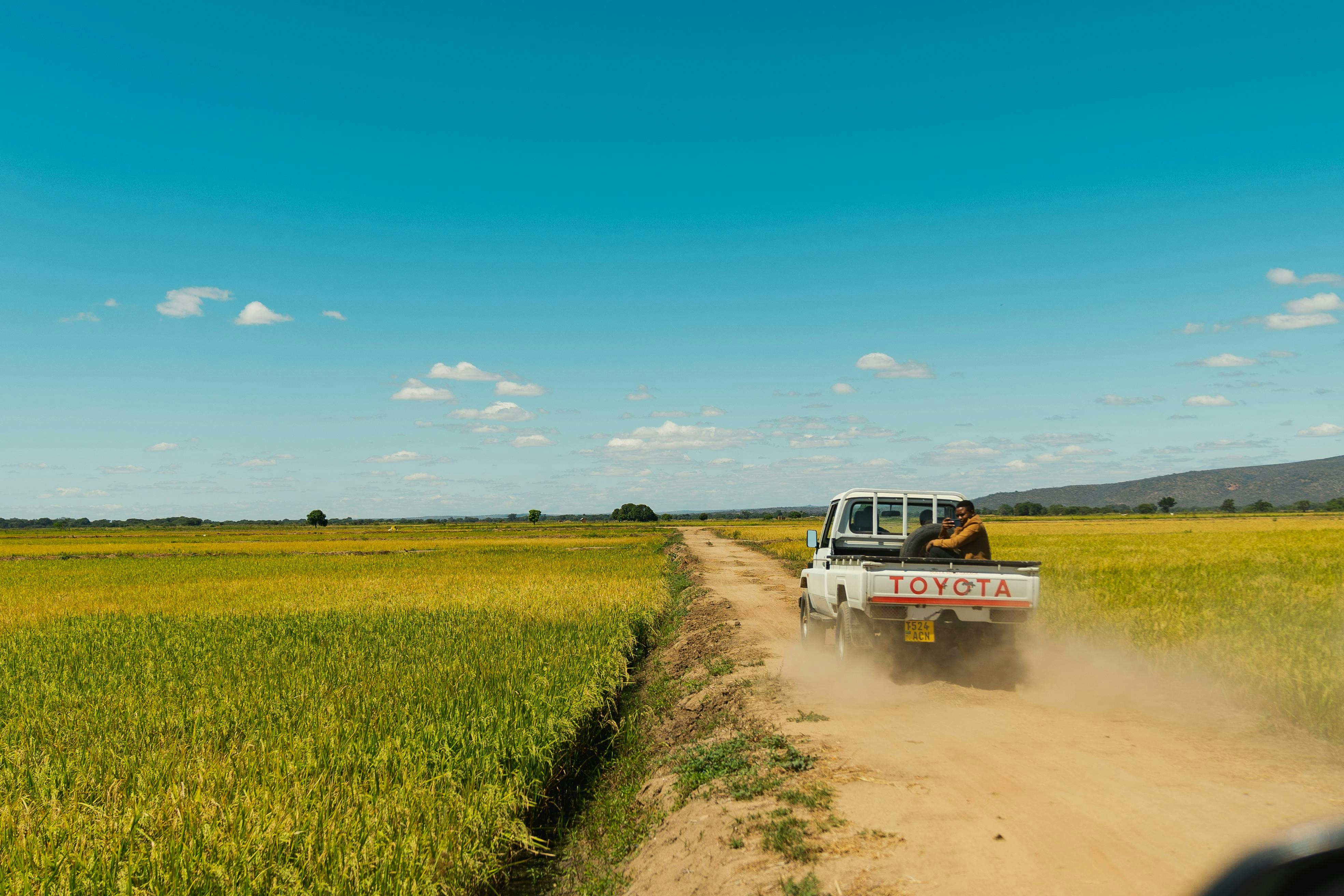 A truck driving down a dirt road next to a lush green field