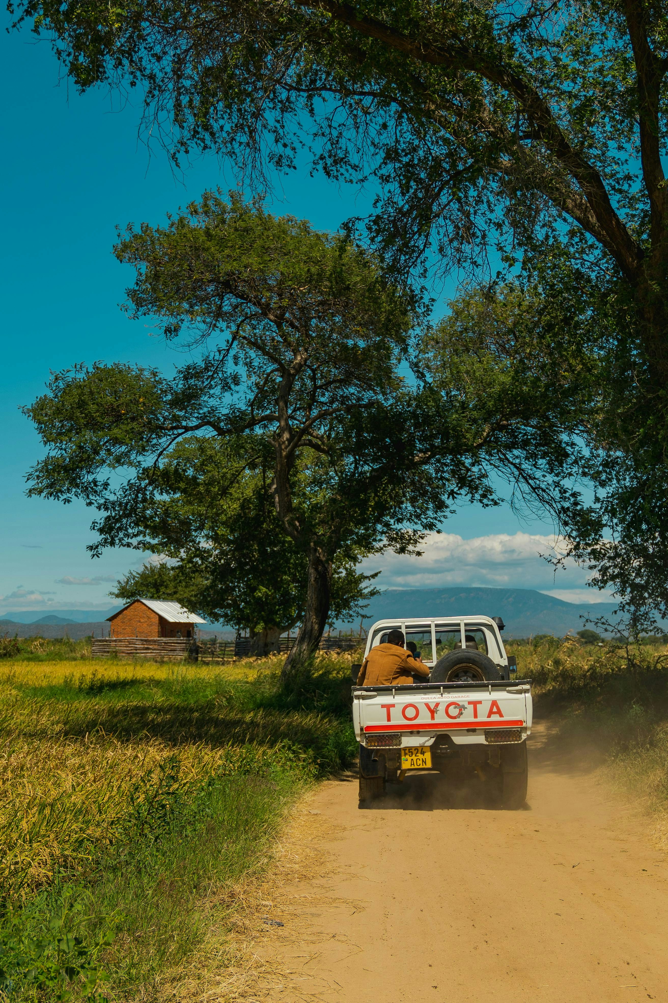 A truck driving down a dirt road next to a tree