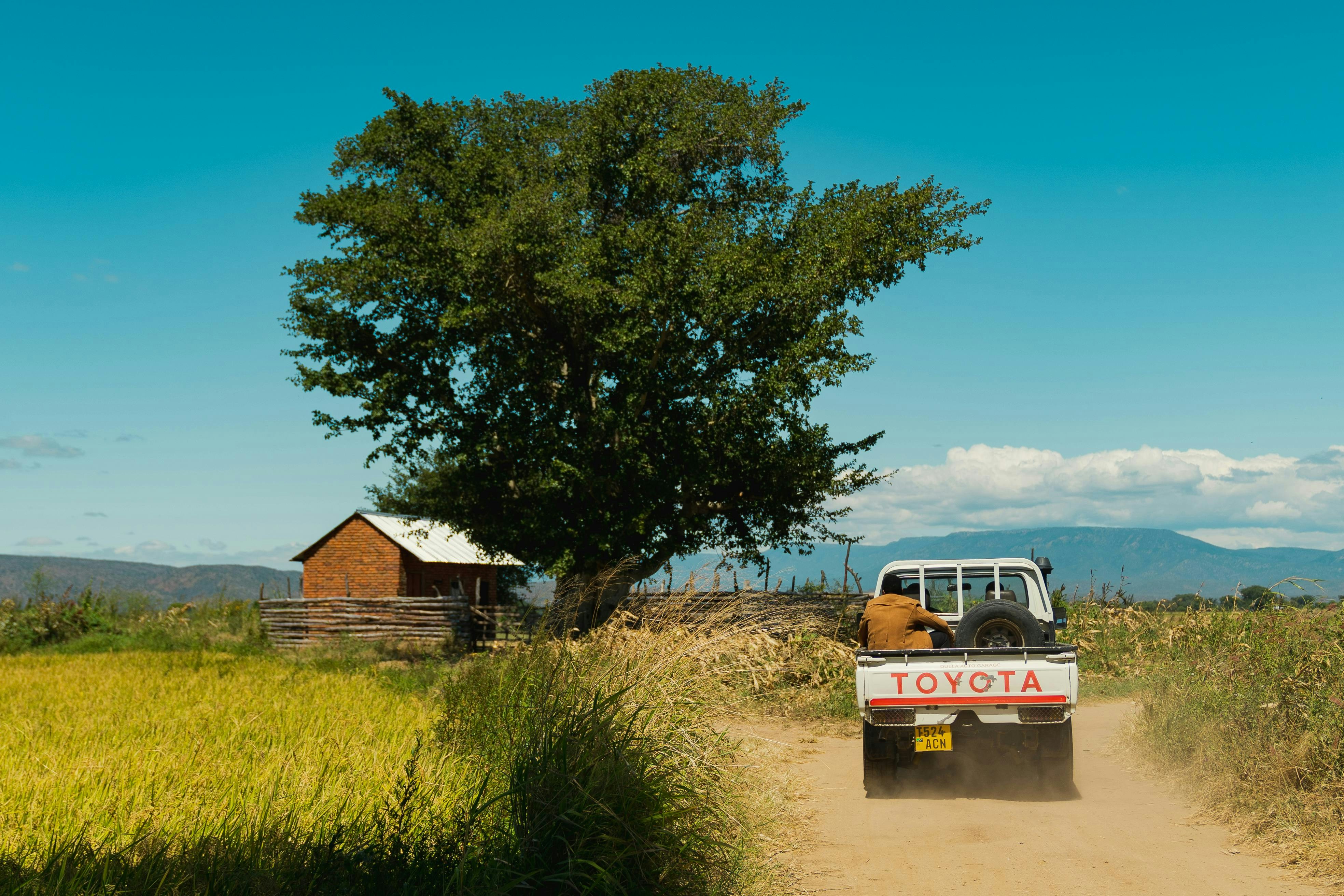 A truck driving down a dirt road next to a tree