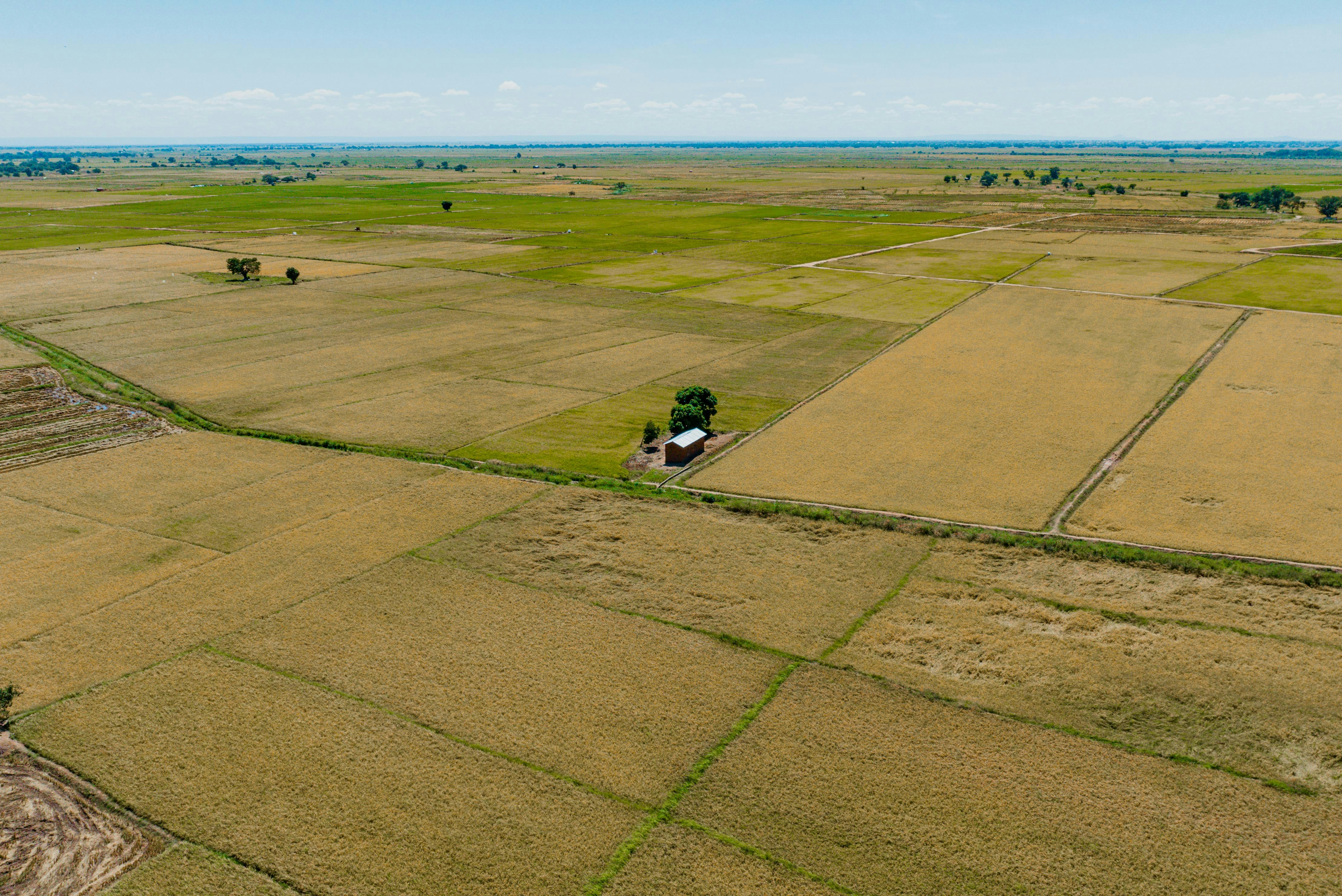 An aerial view of a farm land with a tractor