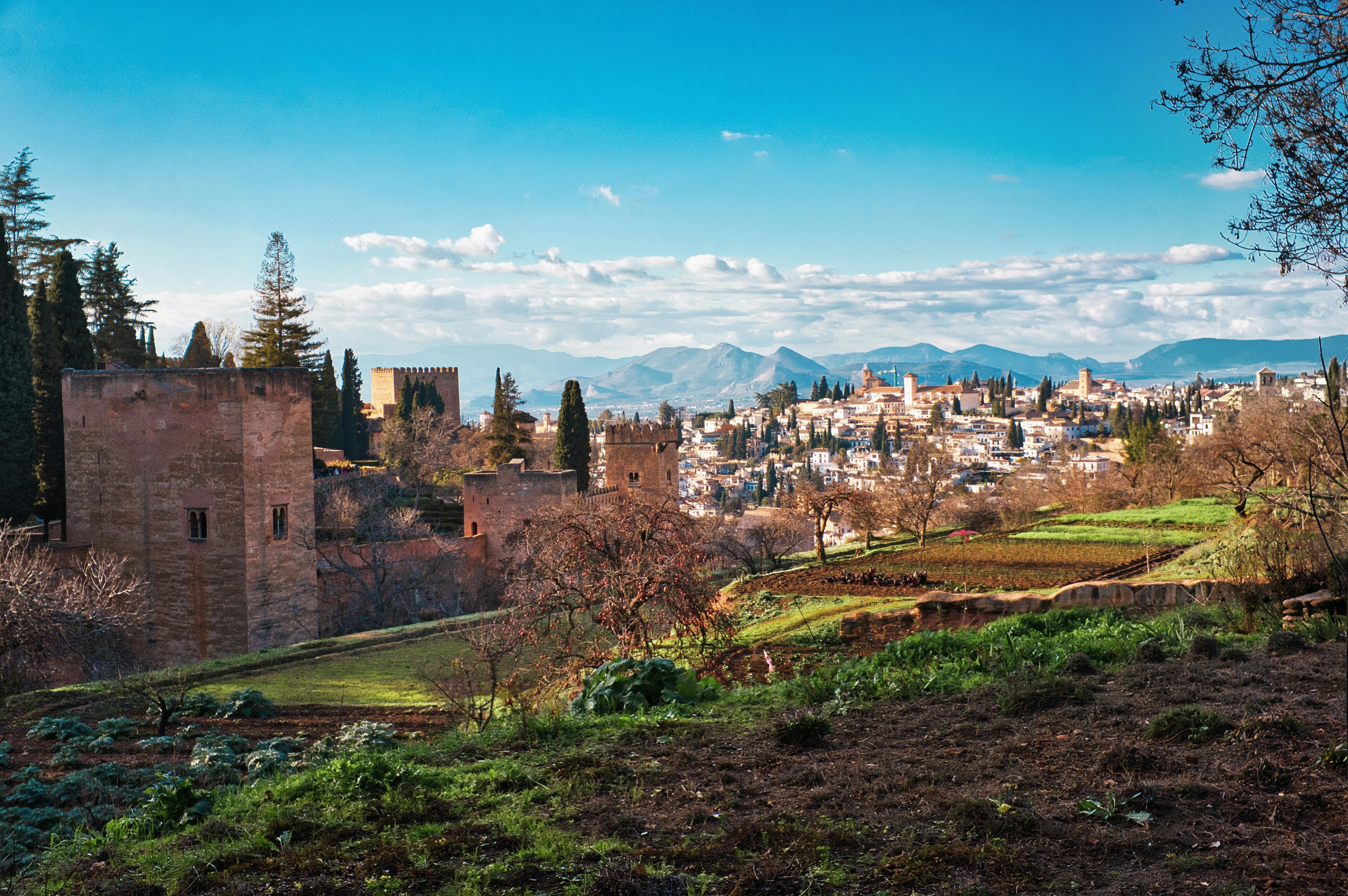 Image by Acool rocket via Unsplash