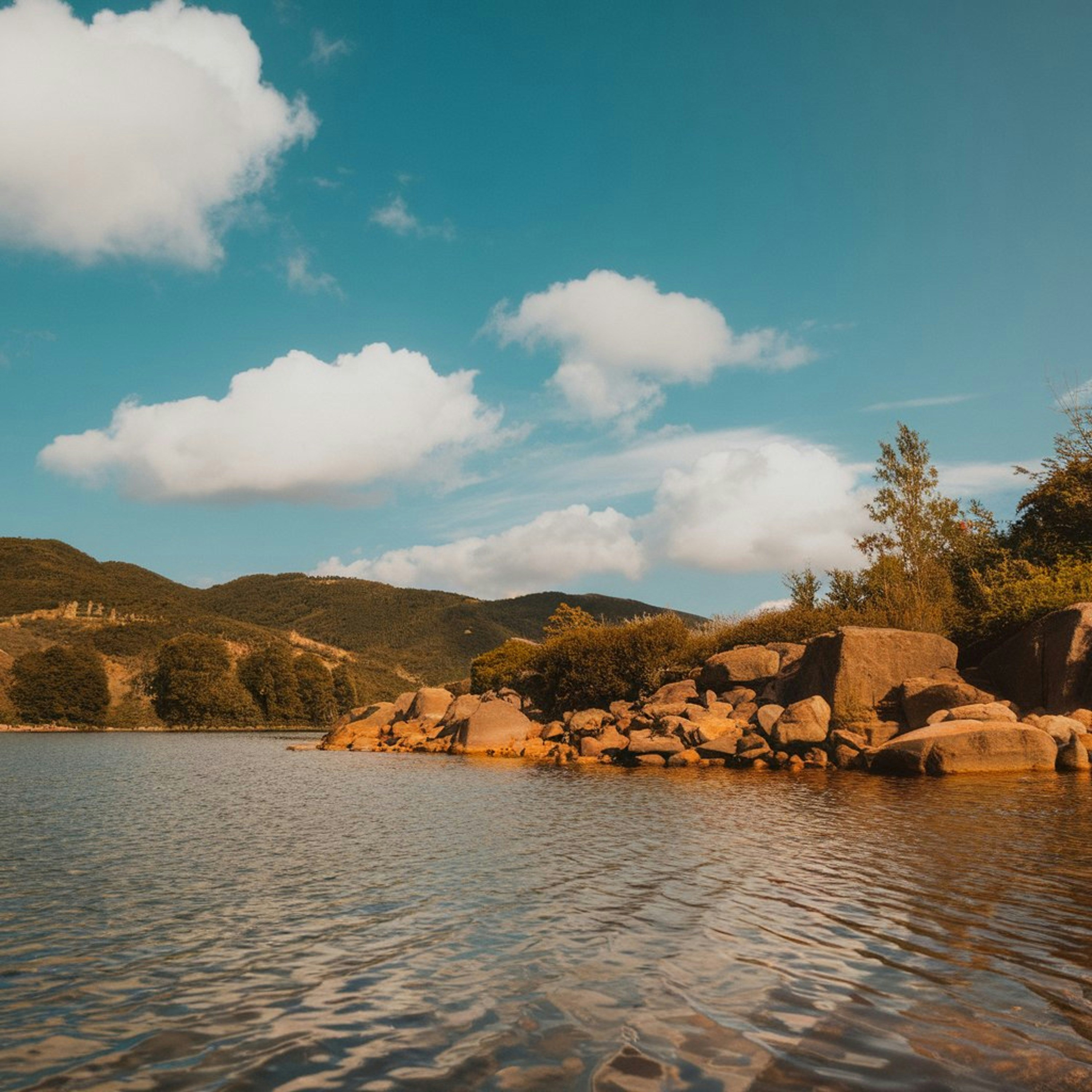 Photo by dreamframephotography